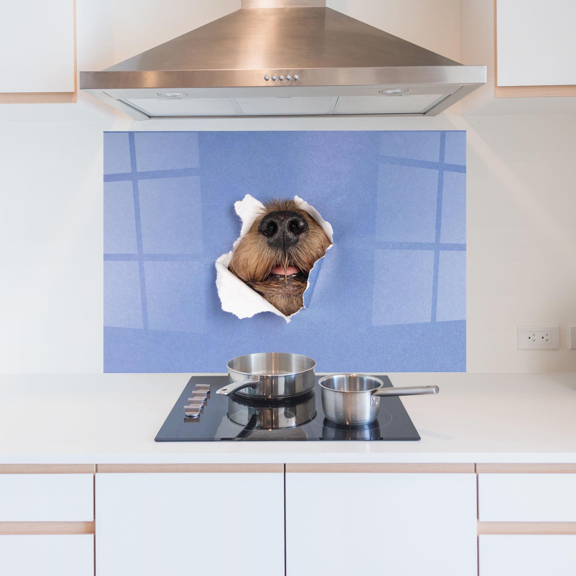 Küchenrückwand Glas Dog Small Nose mockup 5