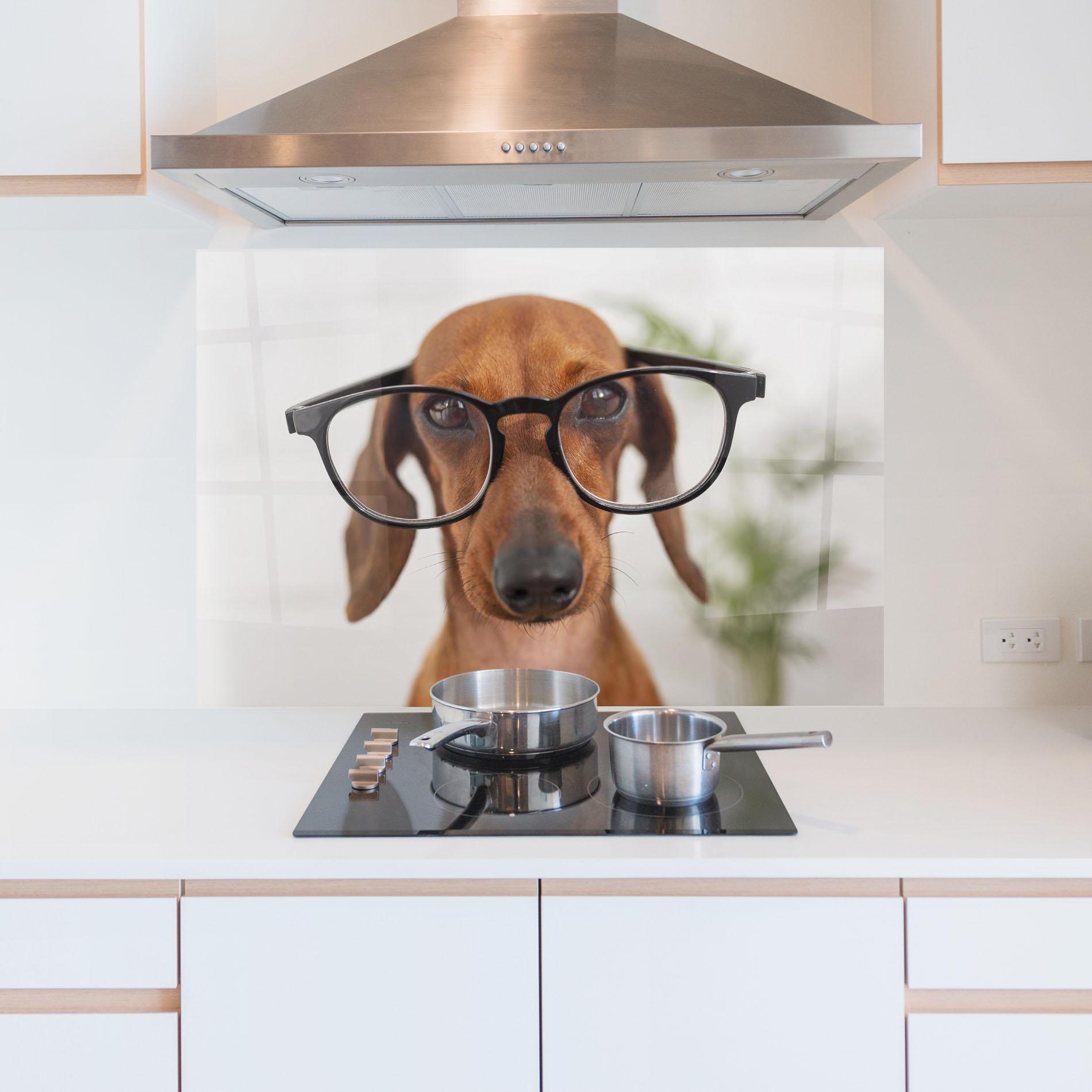 Küchenrückwand Glas Dog Wearing Glasses mockup 5
