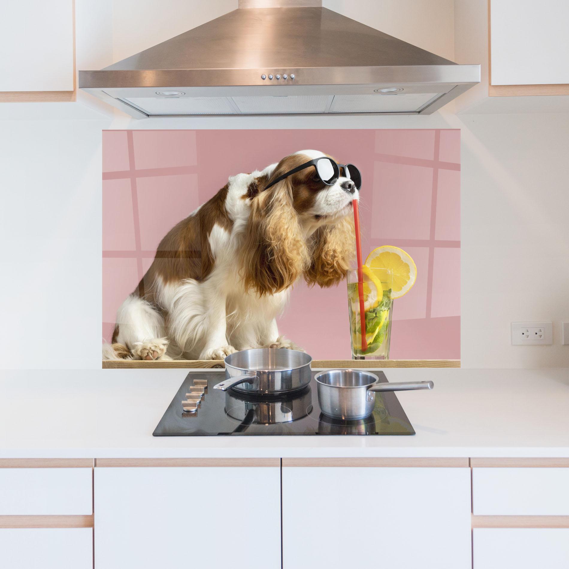 Küchenrückwand Glas Dog With Juice mockup 5