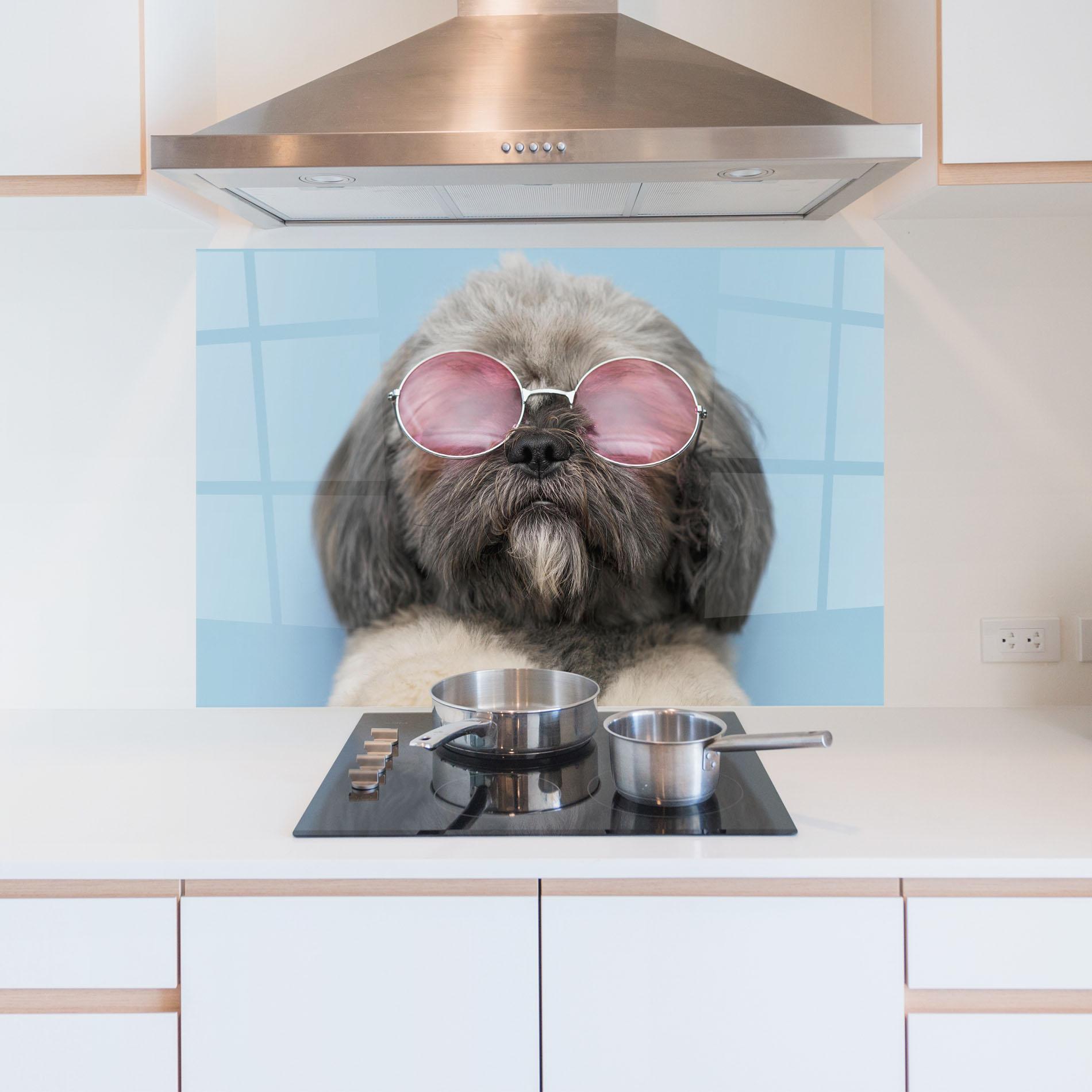 Küchenrückwand Glas Grey Dog On Blue mockup 5