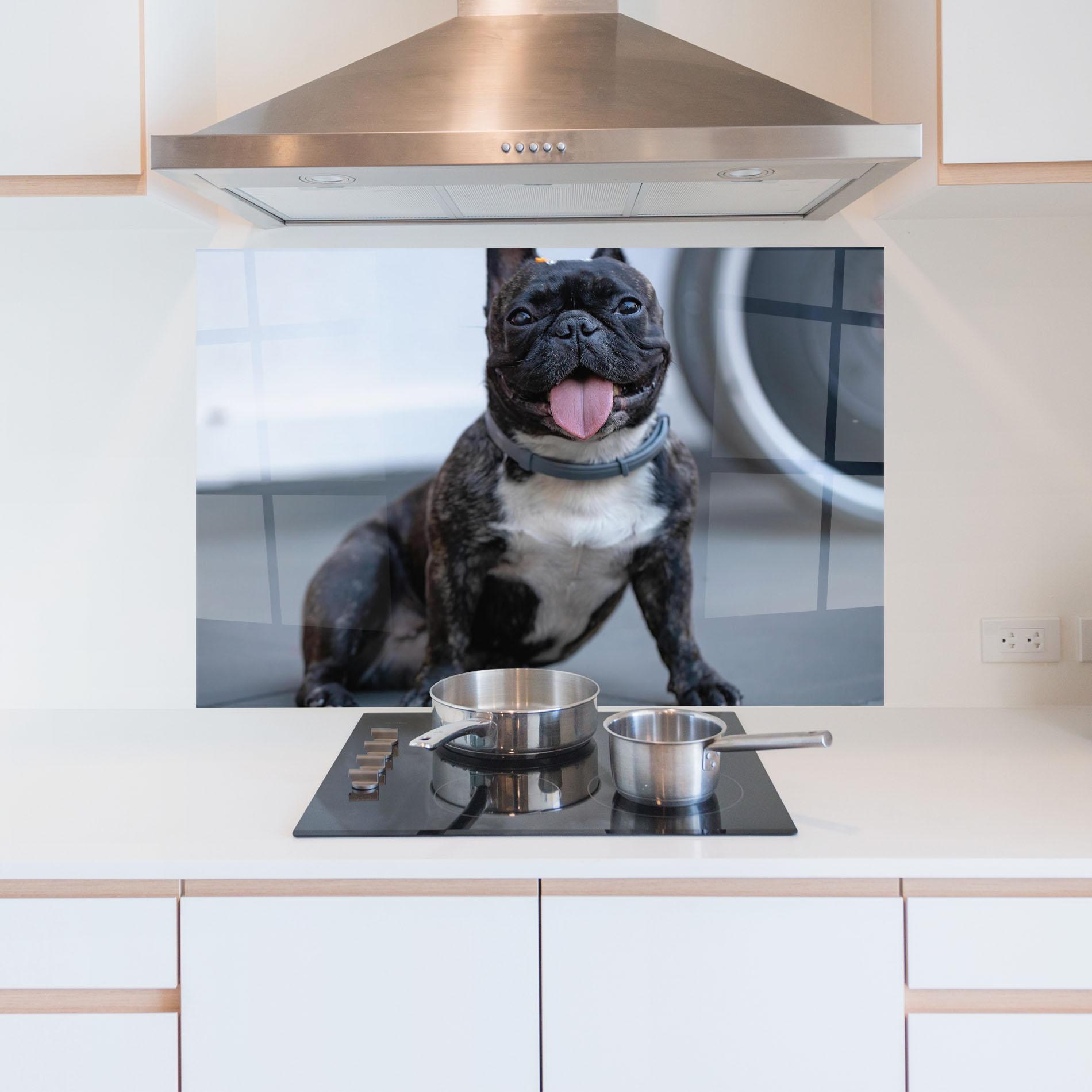 Küchenrückwand Glas Happy Black Dog mockup 5