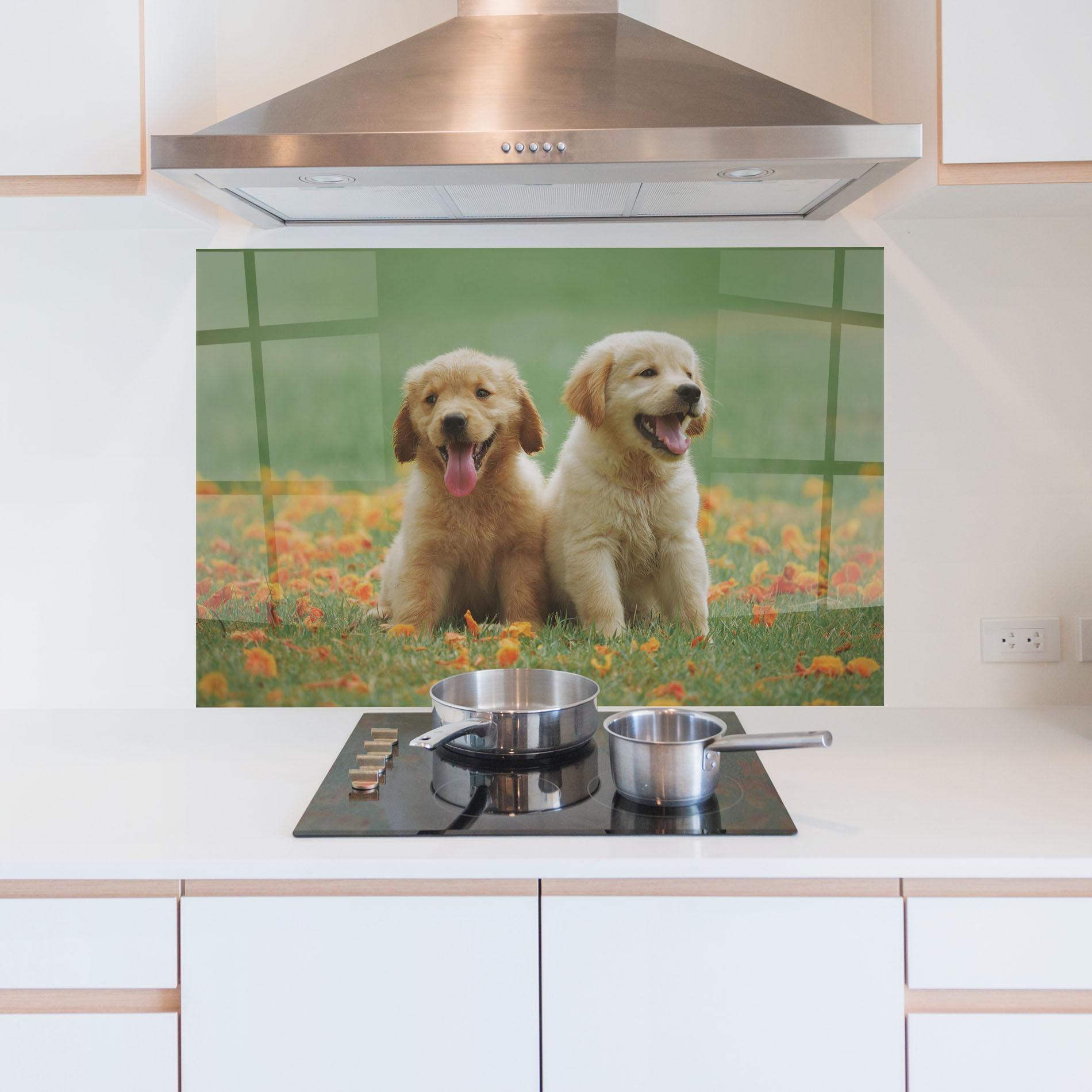 Küchenrückwand Glas Happy Dogs mockup 5