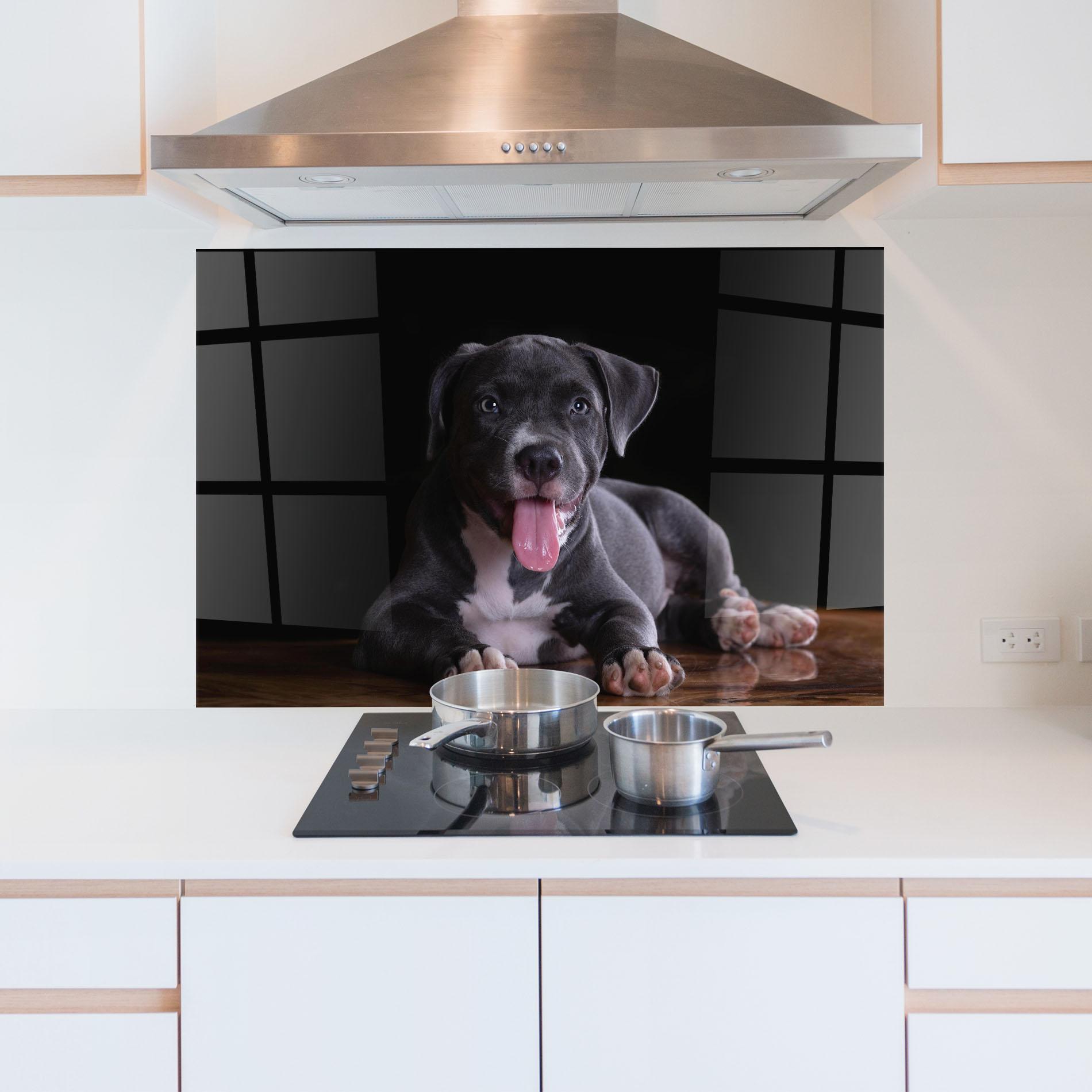 Küchenrückwand Glas Terrier Puppy mockup 5