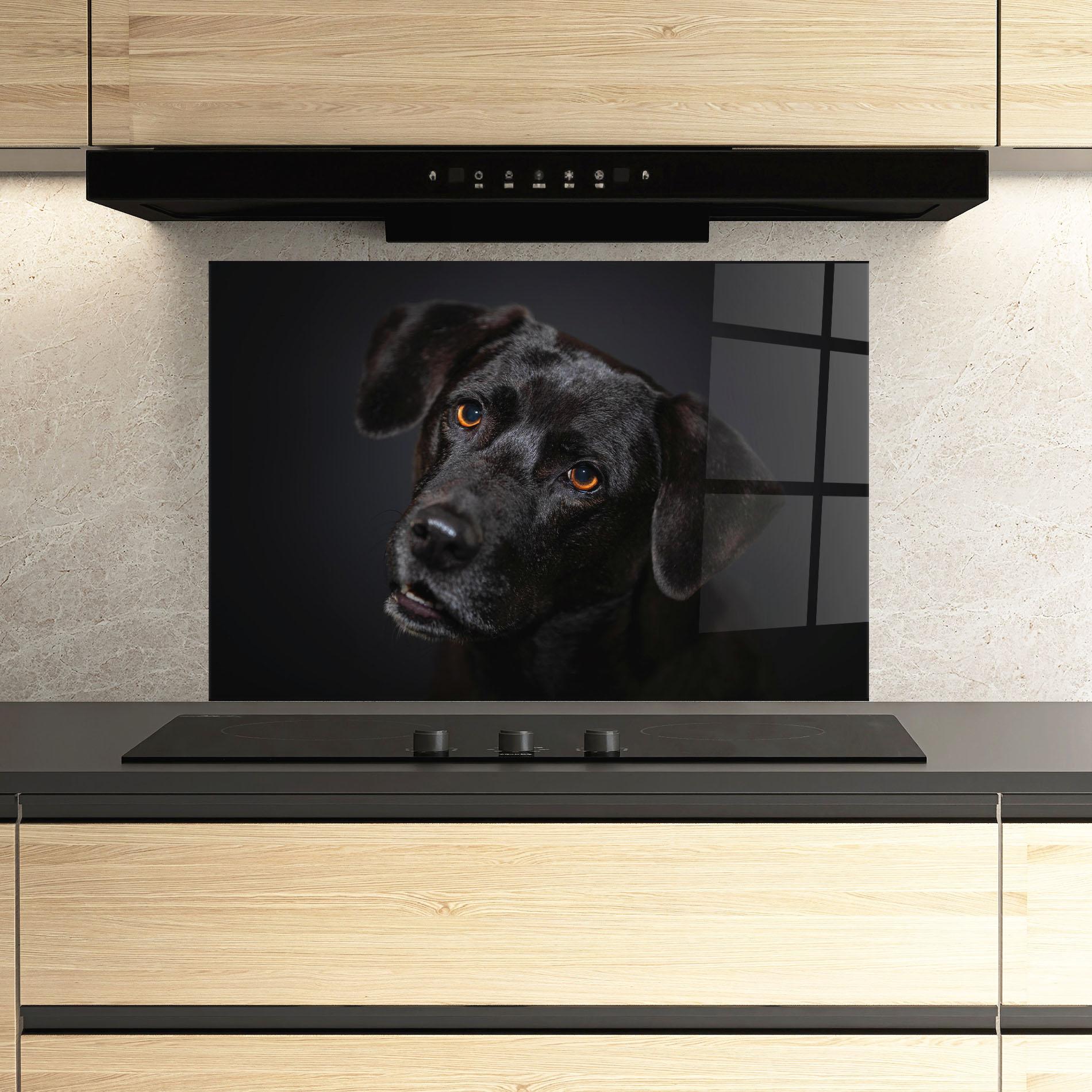 Küchenrückwand Glas Black Dog Portrait mockup 3