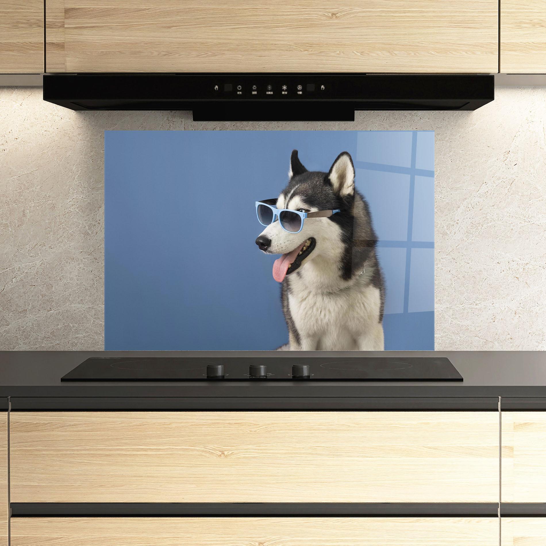 Küchenrückwand Glas Blue Glasses Dog mockup 3