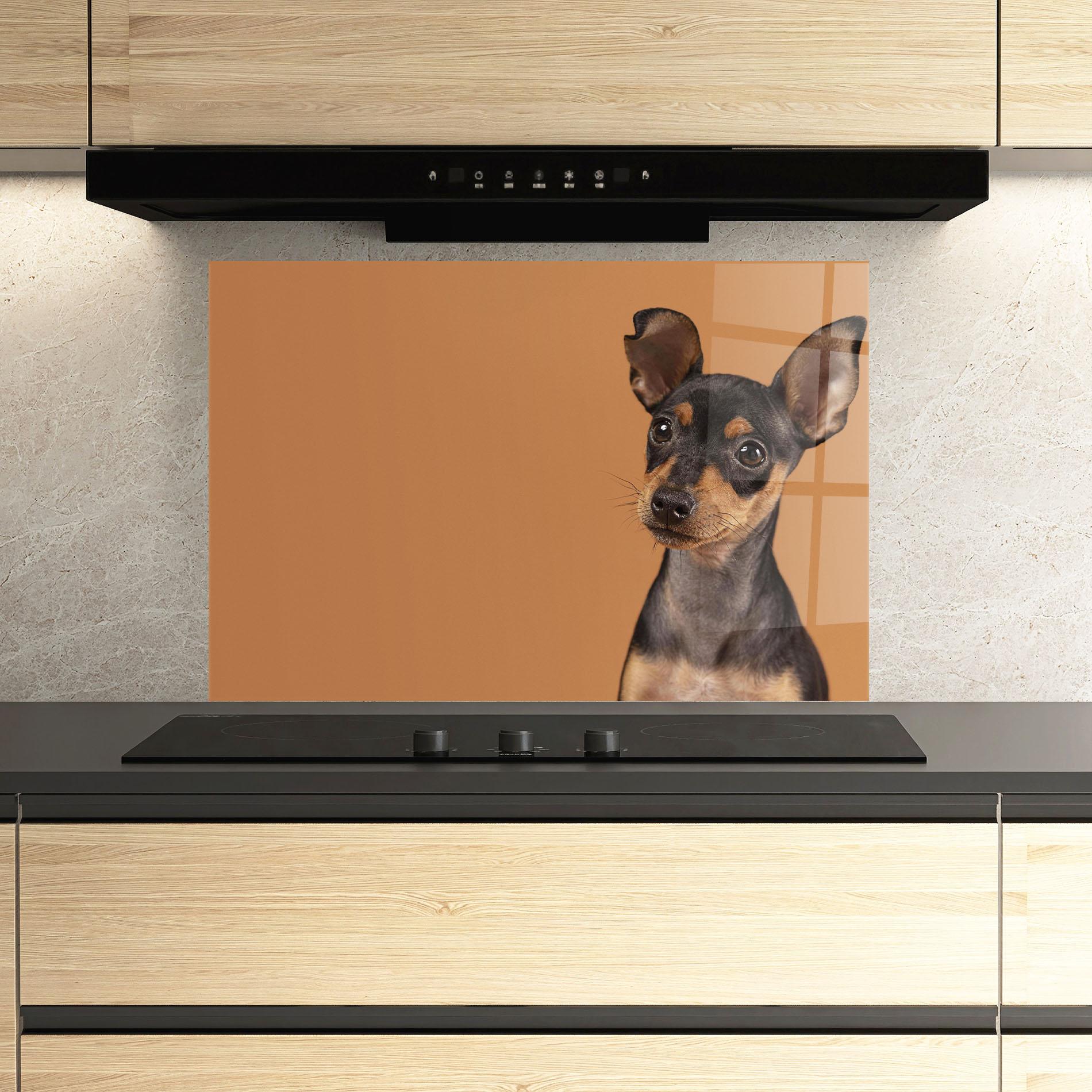Küchenrückwand Glas Cute Dog Portrait mockup 3