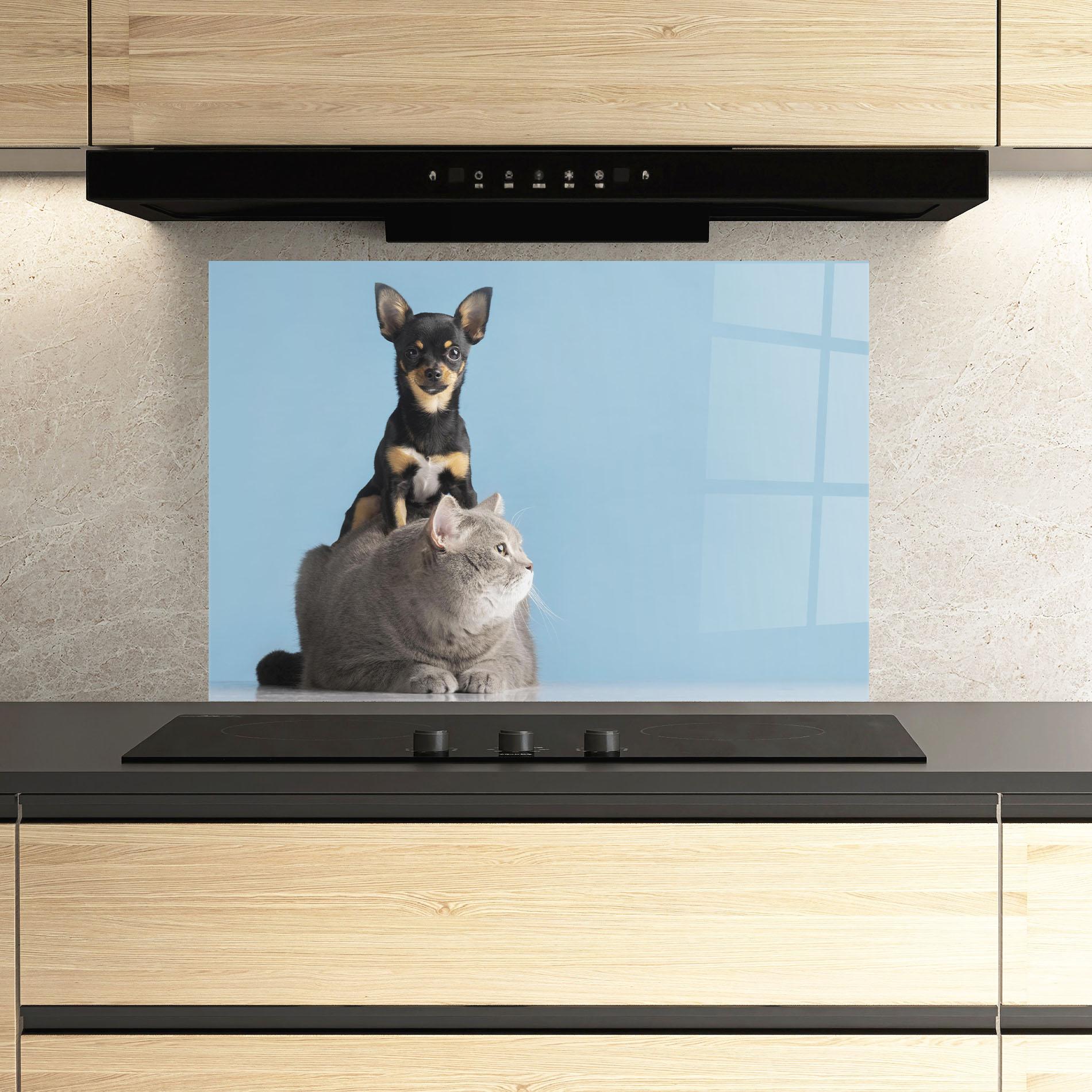 Küchenrückwand Glas Dog Grey Cat mockup 3