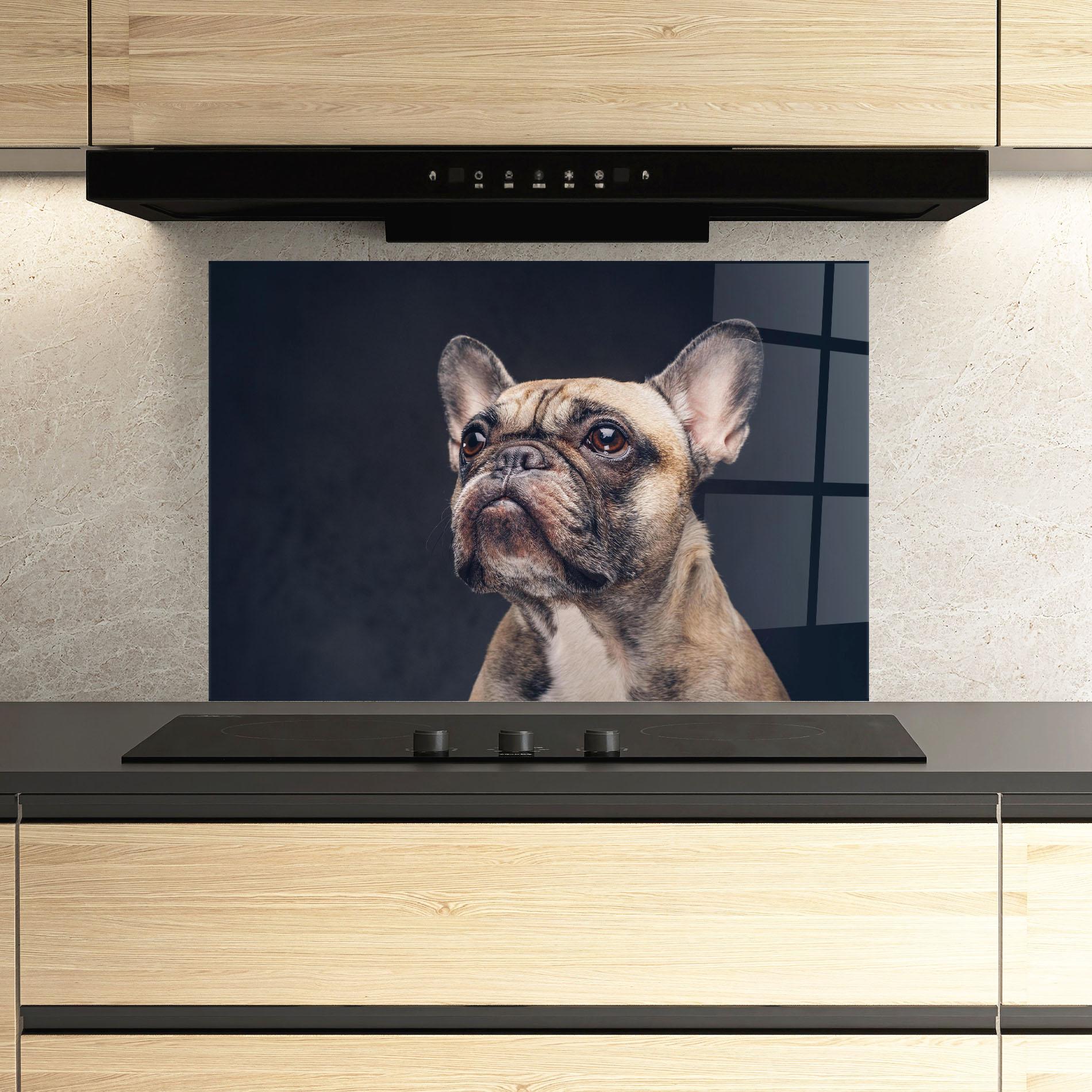 Küchenrückwand Glas Dog Looking Up mockup 3