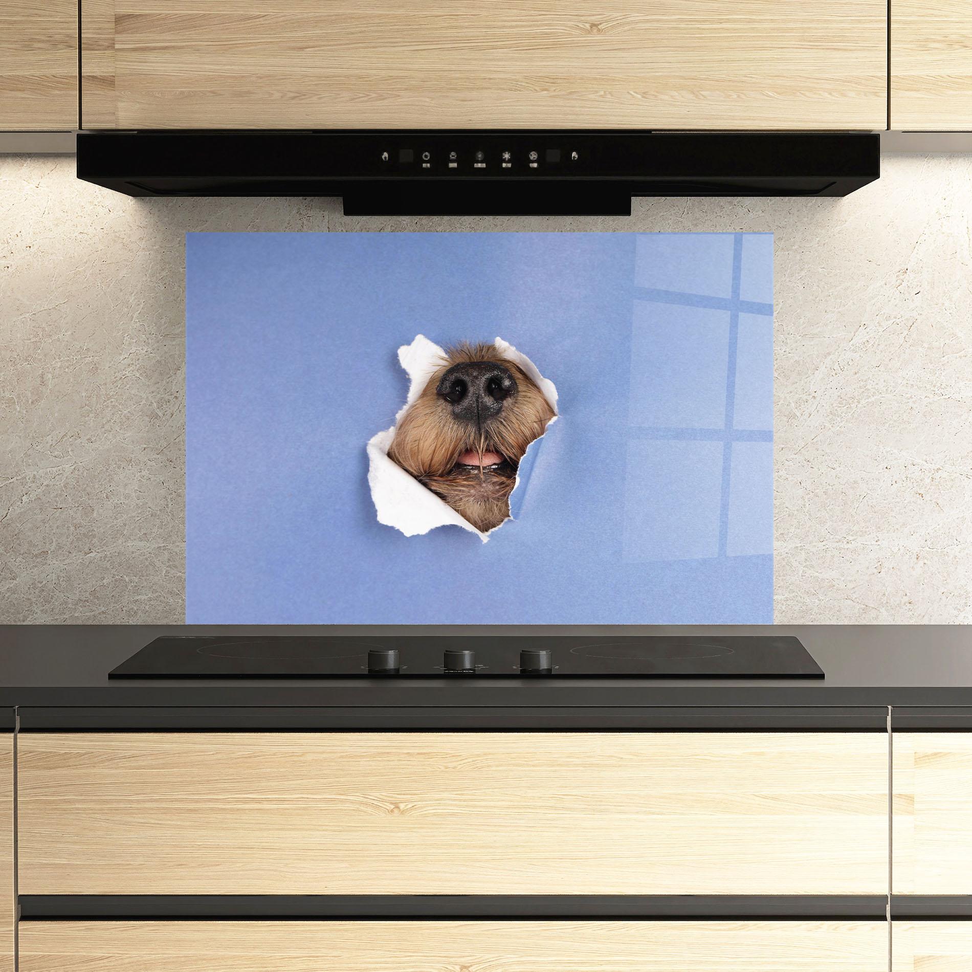Küchenrückwand Glas Dog Small Nose mockup 3