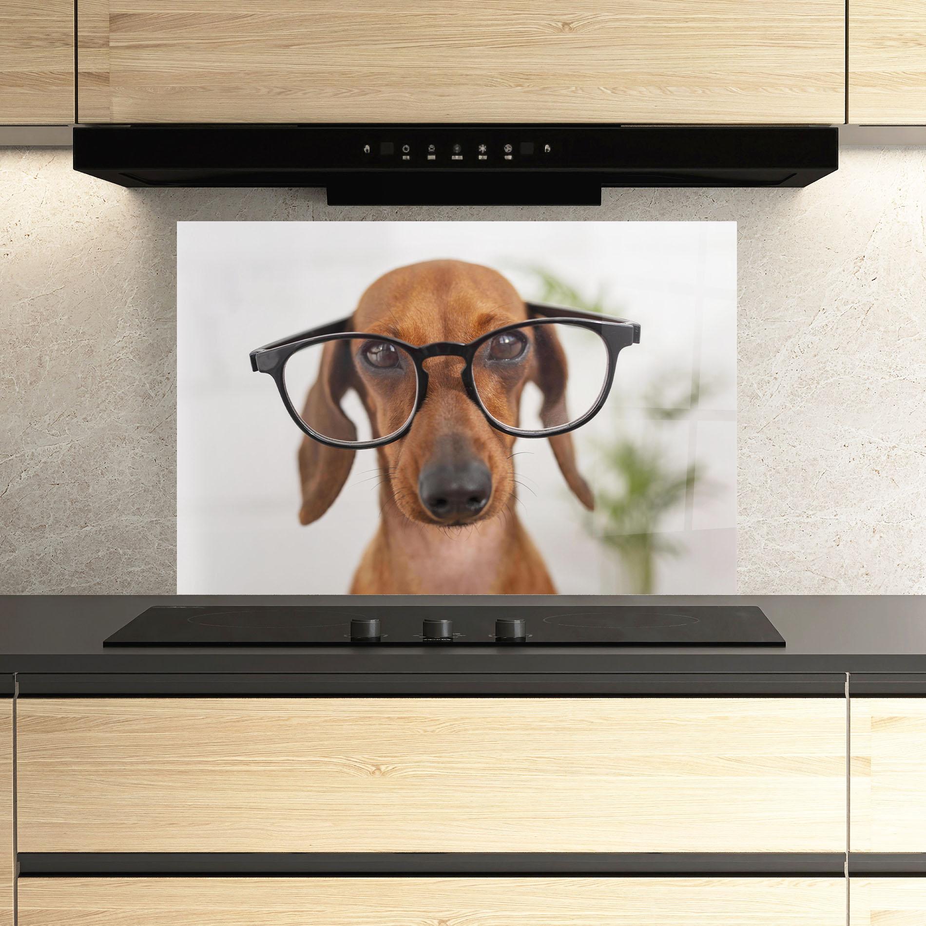 Küchenrückwand Glas Dog Wearing Glasses mockup 3