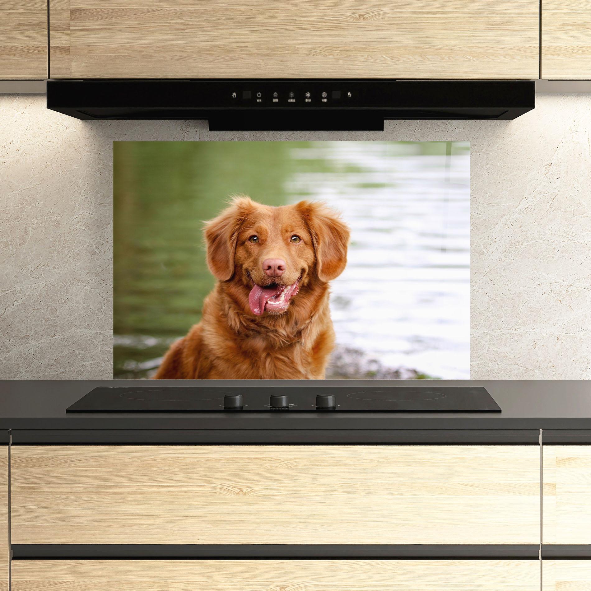 Küchenrückwand Glas Gren Water Dog mockup 3