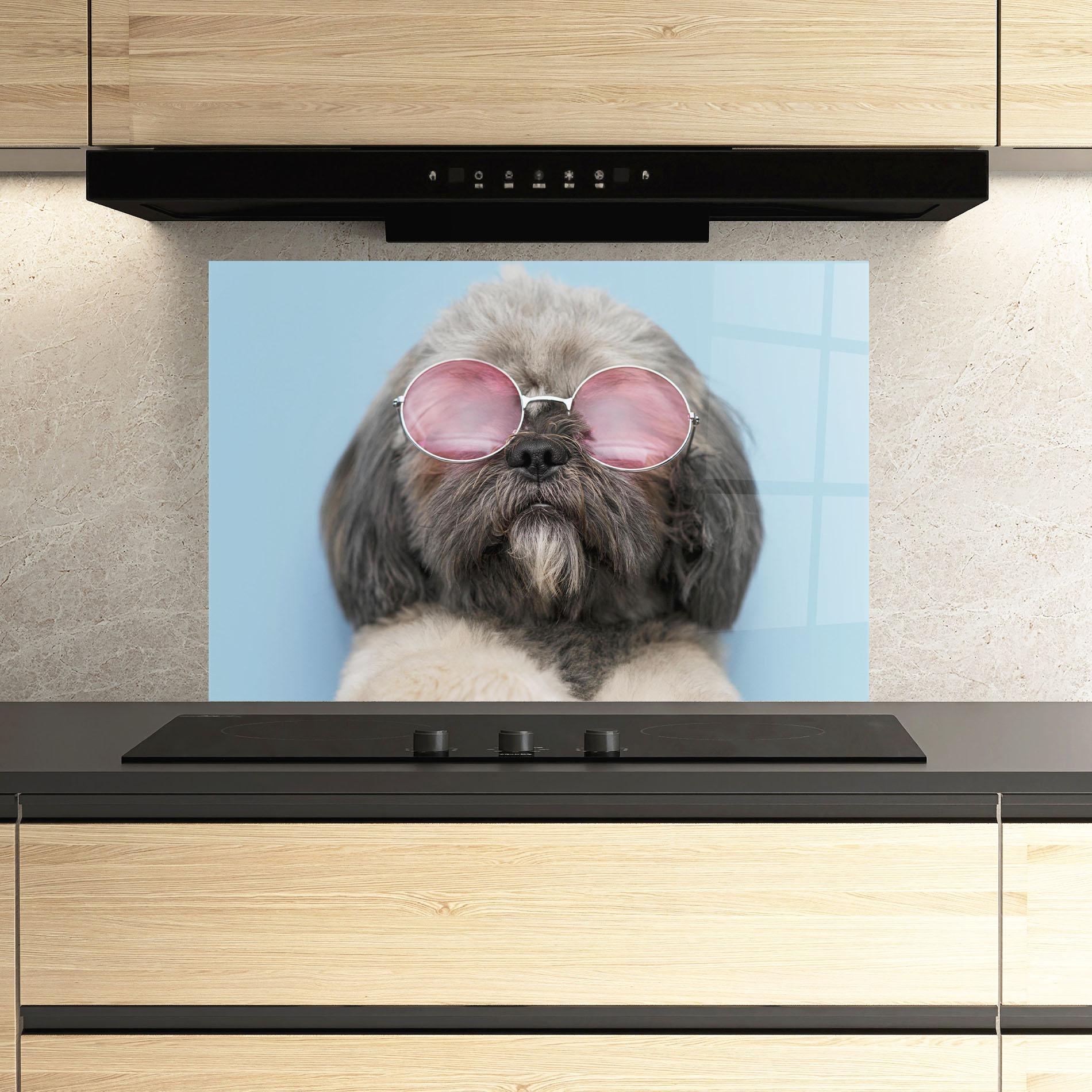 Küchenrückwand Glas Grey Dog On Blue mockup 3