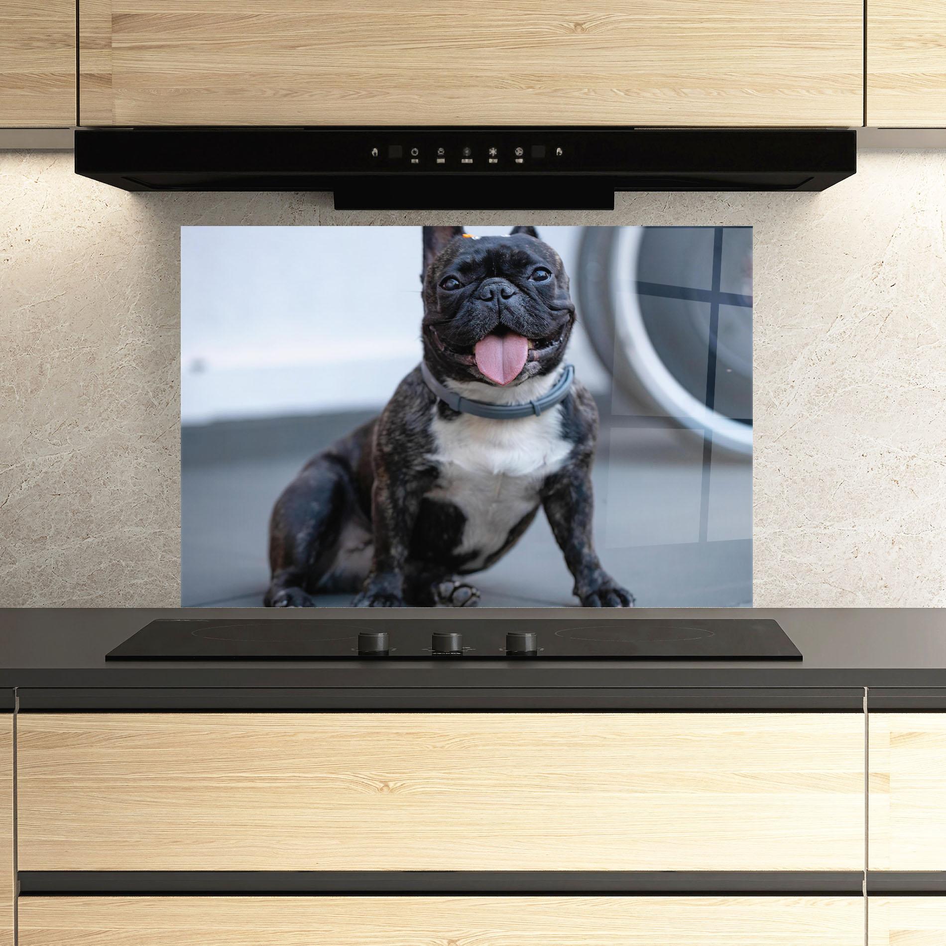 Küchenrückwand Glas Happy Black Dog mockup 3