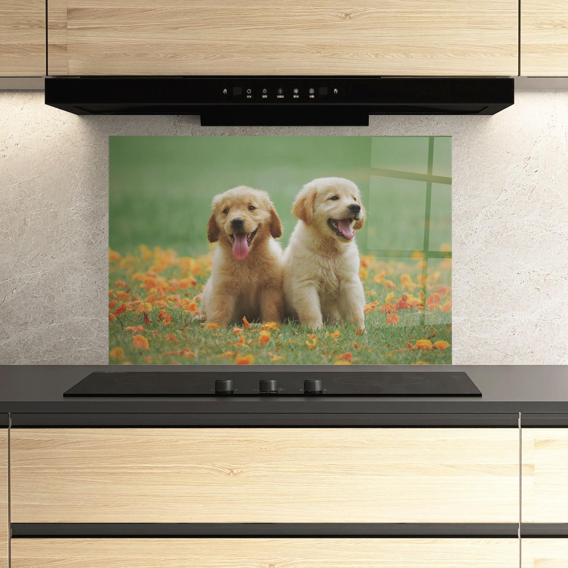 Küchenrückwand Glas Happy Dogs mockup 3