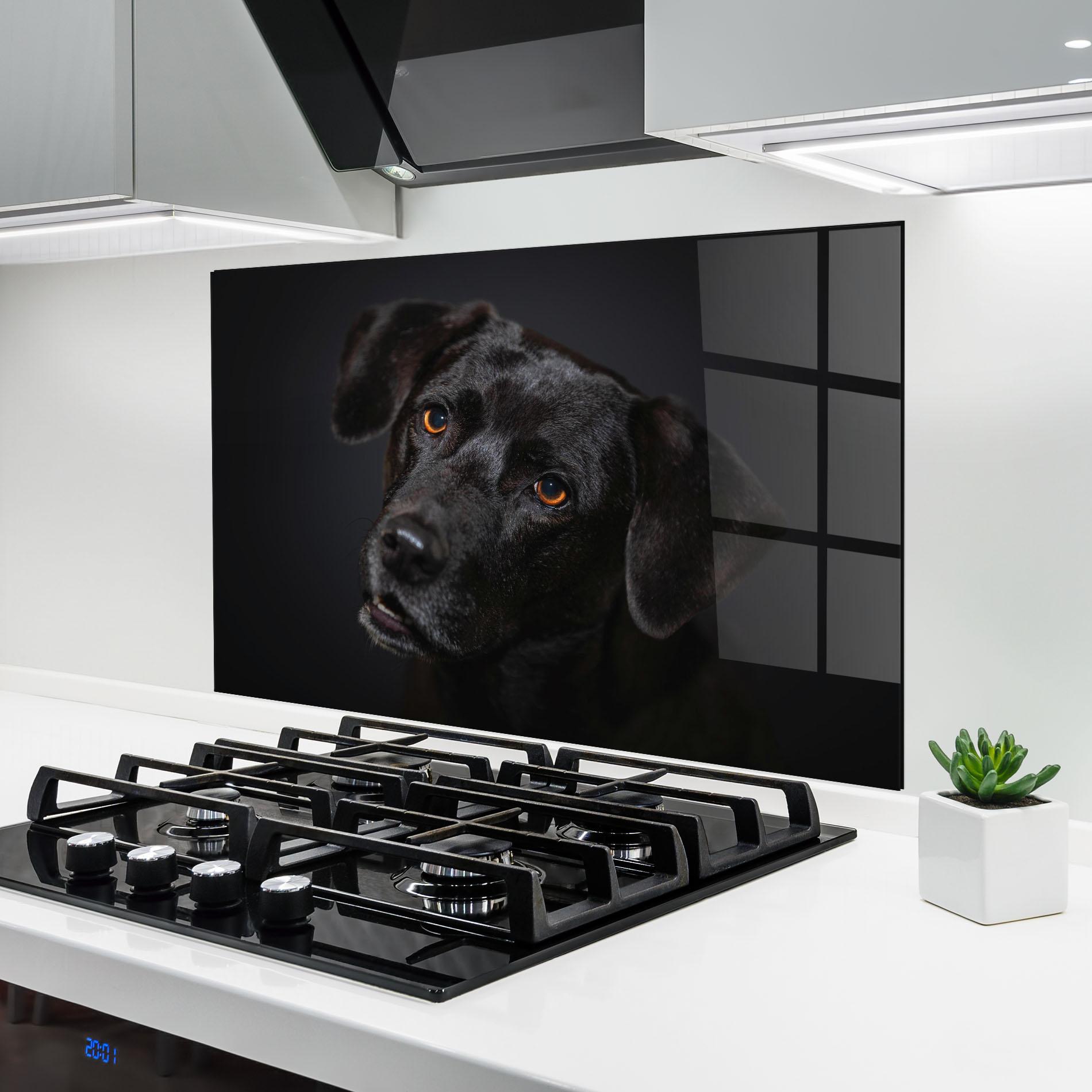 Küchenrückwand Glas Black Dog Portrait mockup 6