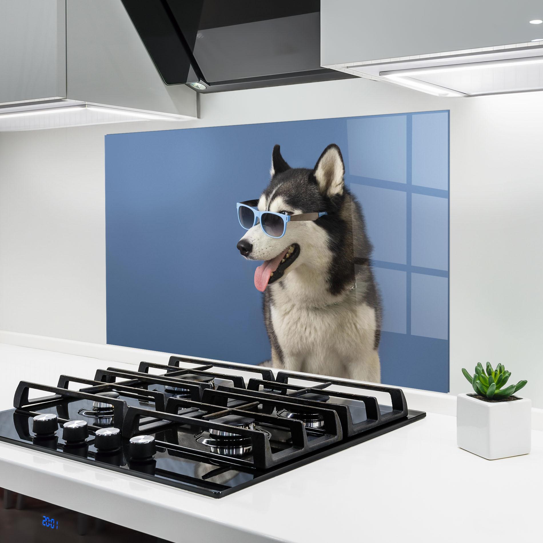 Küchenrückwand Glas Blue Glasses Dog mockup 6