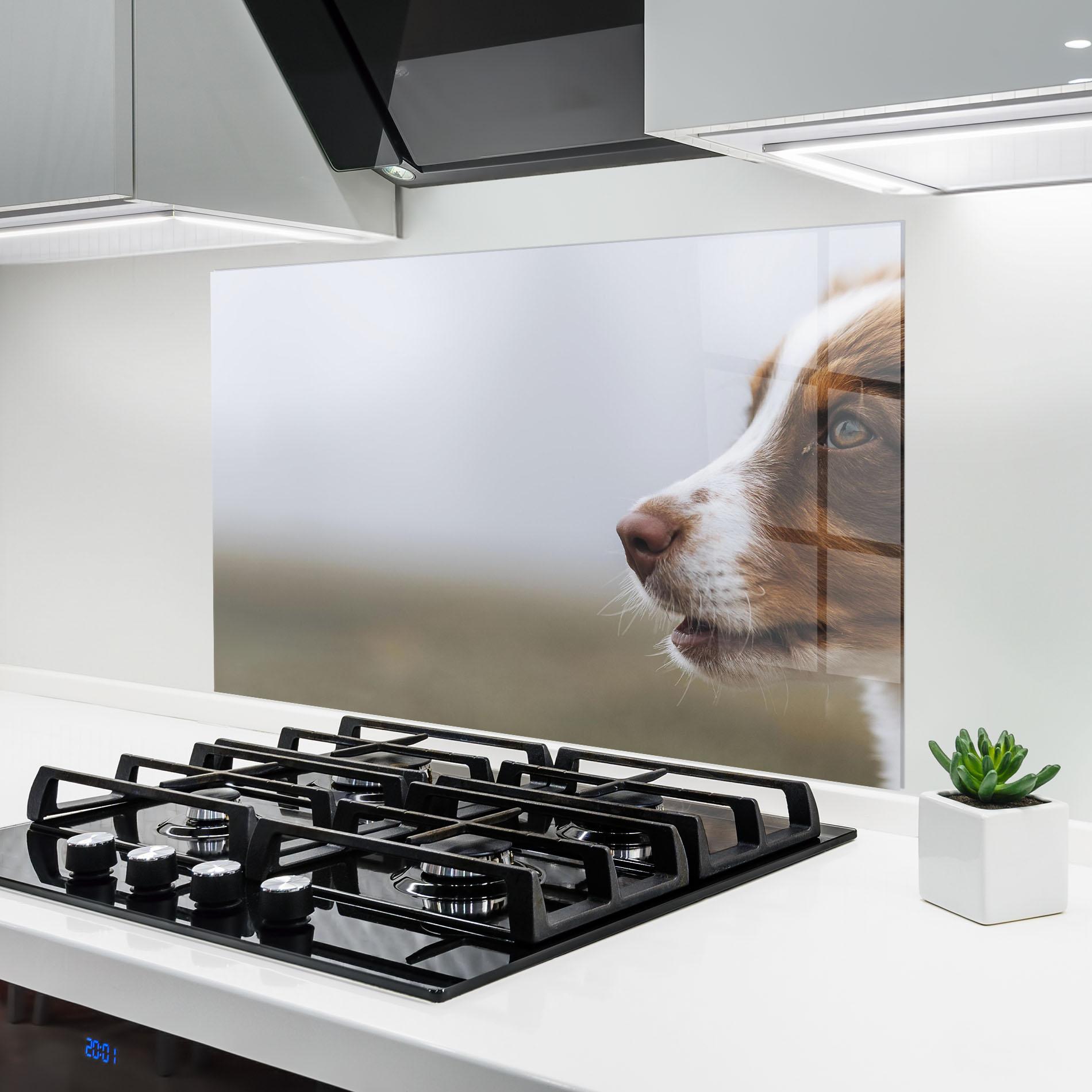 Küchenrückwand Glas Brown White Dog mockup 6