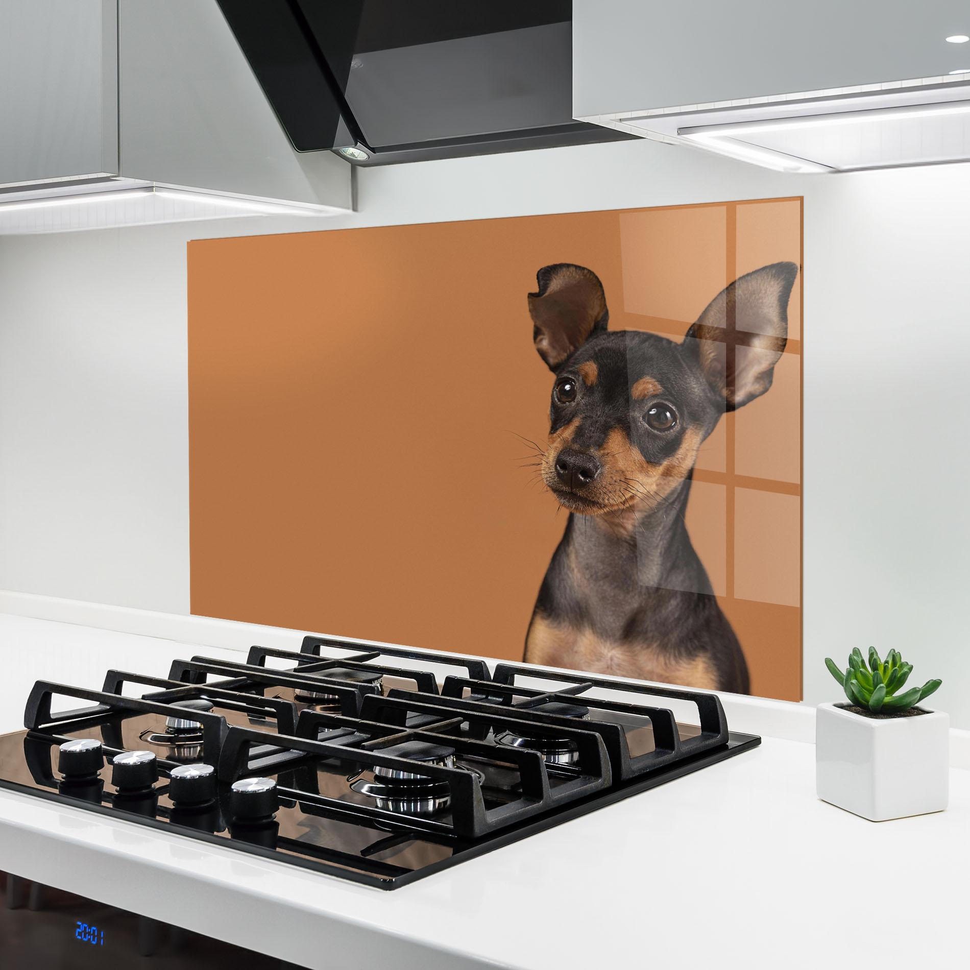 Küchenrückwand Glas Cute Dog Portrait mockup 6