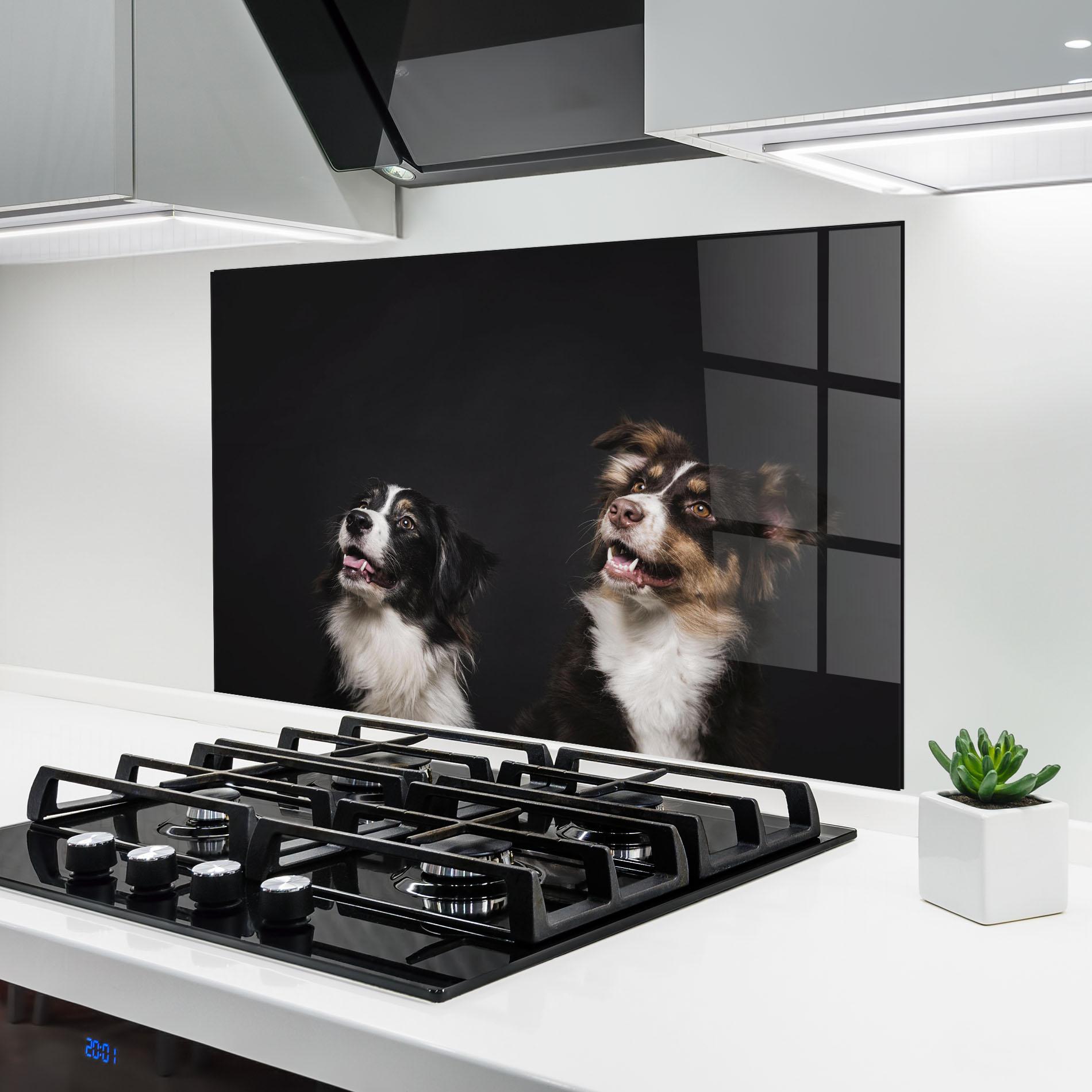 Küchenrückwand Glas Cute Dogs Standing mockup 6