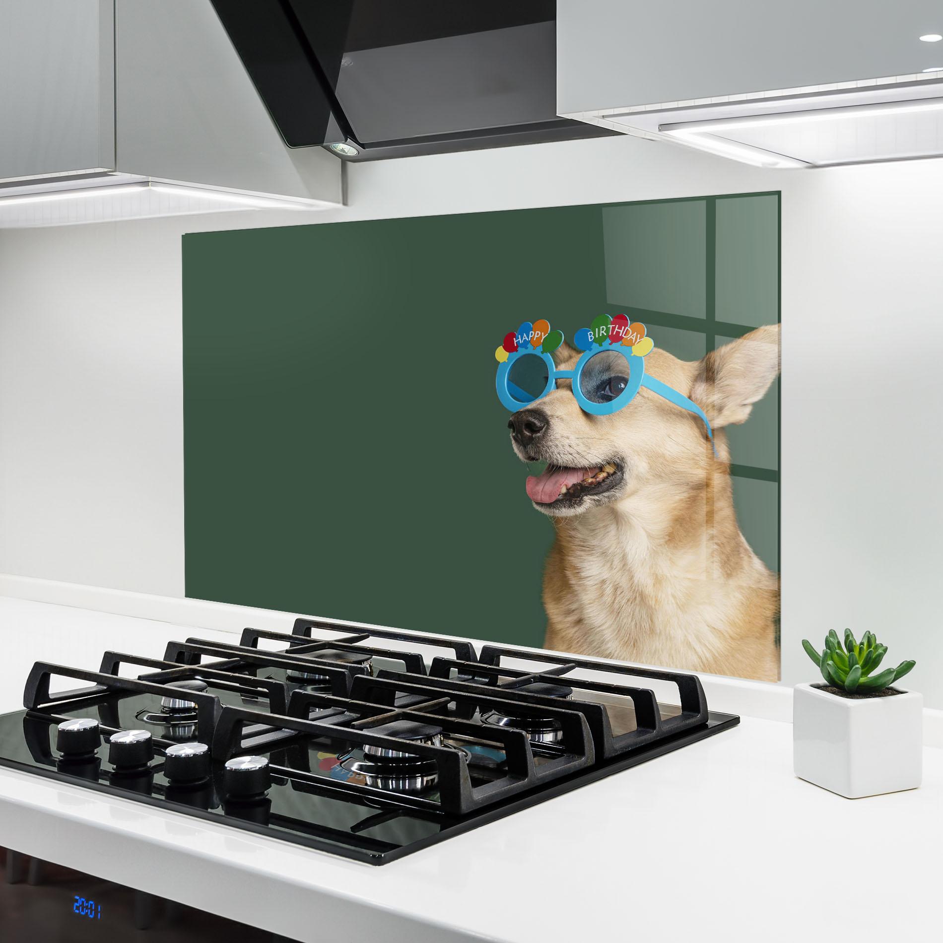 Küchenrückwand Glas Cute Glasses Dog mockup 6