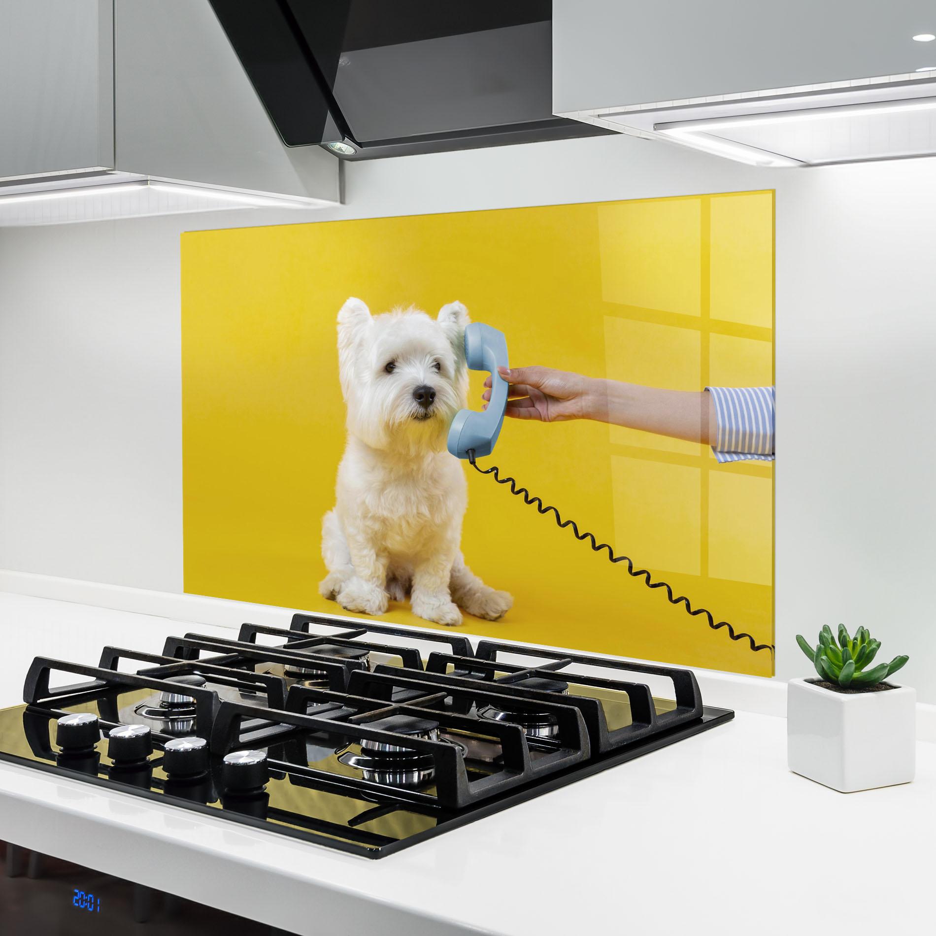 Küchenrückwand Glas Cute Little Dog mockup 6