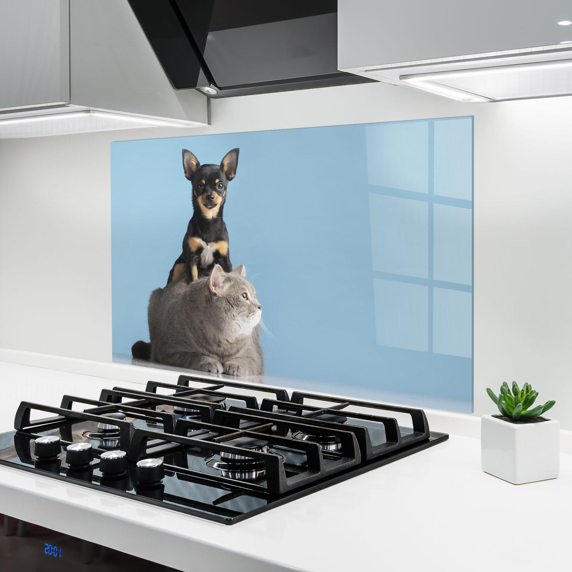 Küchenrückwand Glas Dog Grey Cat mockup 6