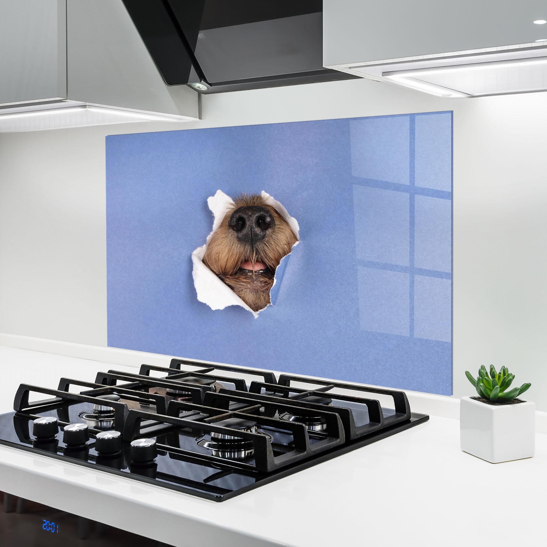 Küchenrückwand Glas Dog Small Nose mockup 6