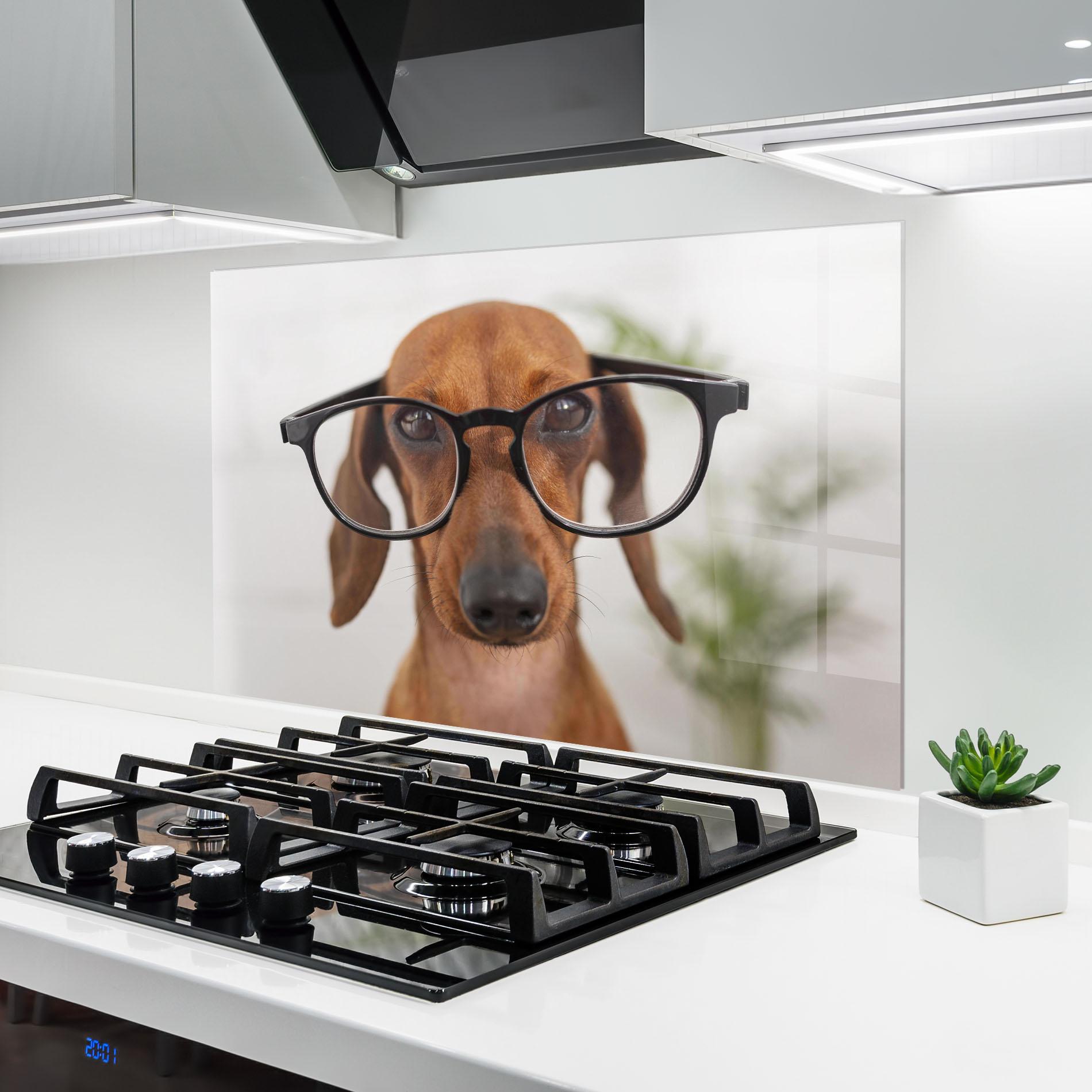 Küchenrückwand Glas Dog Wearing Glasses mockup 6