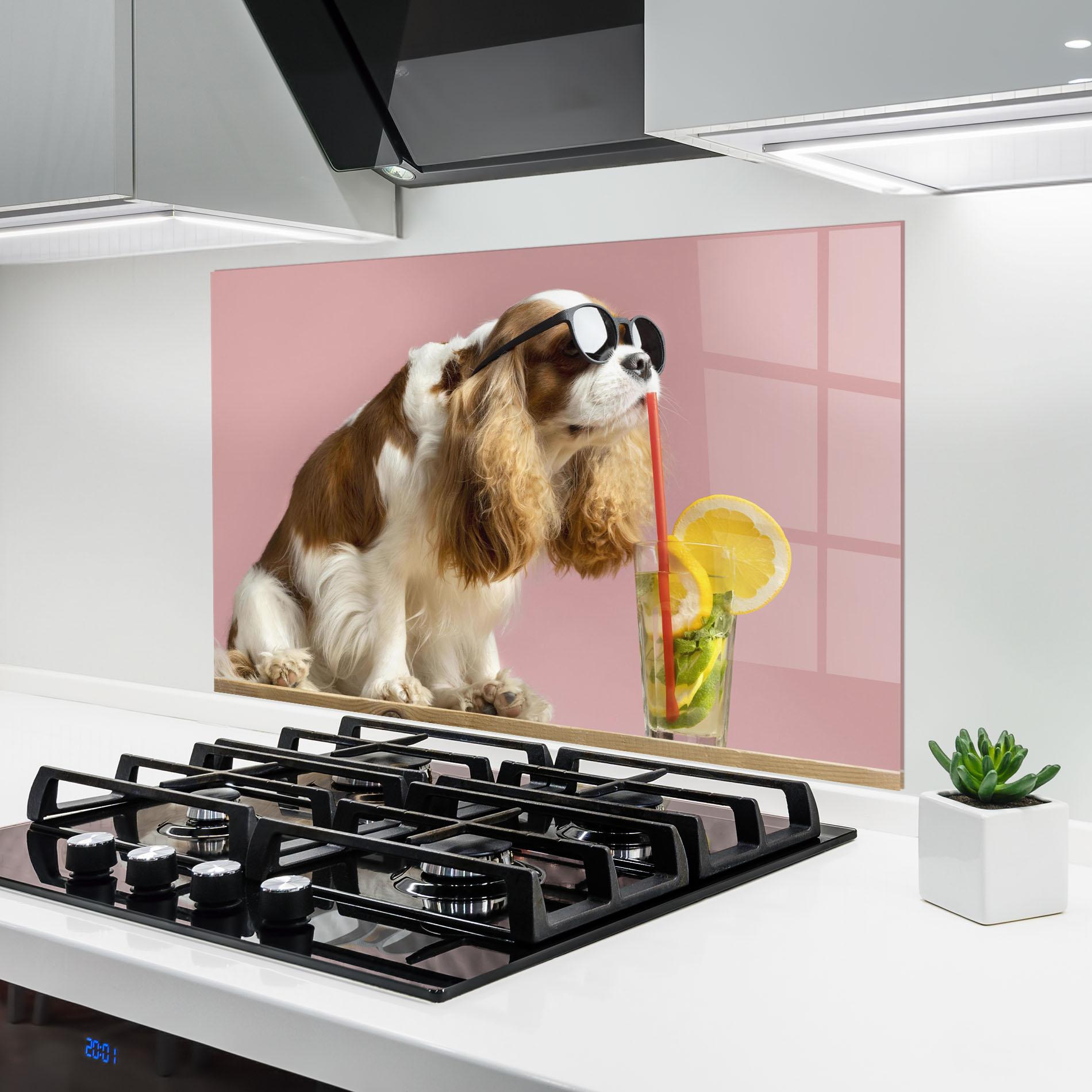 Küchenrückwand Glas Dog With Juice mockup 6