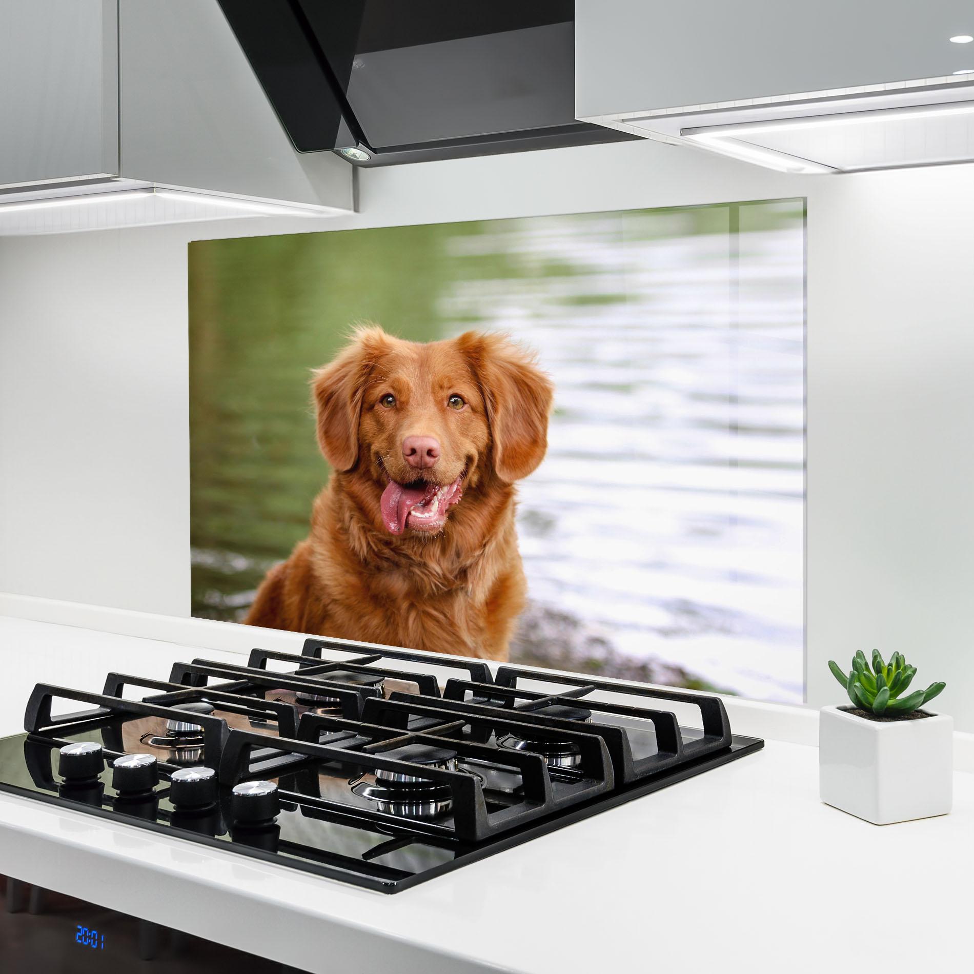Küchenrückwand Glas Gren Water Dog mockup 6