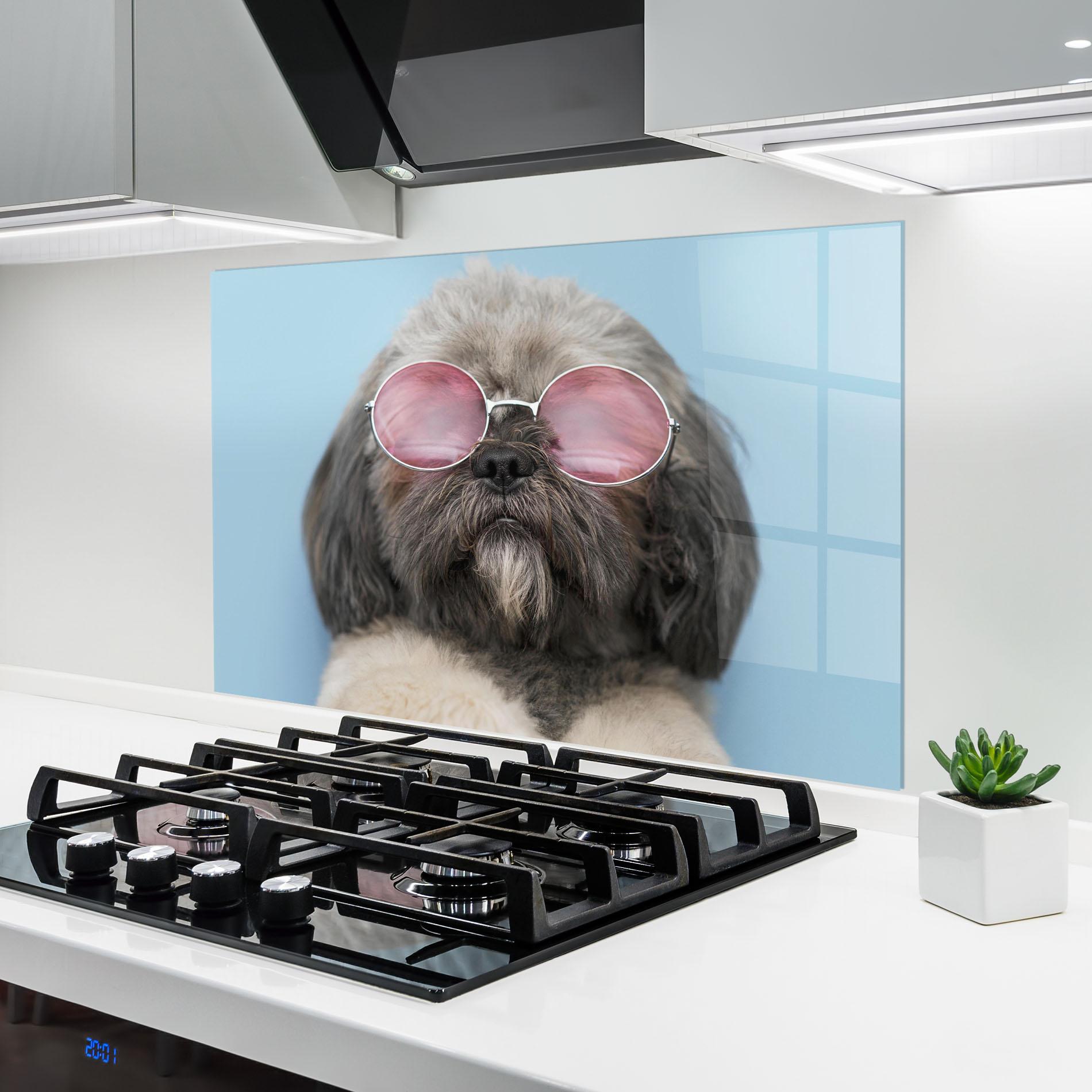 Küchenrückwand Glas Grey Dog On Blue mockup 6