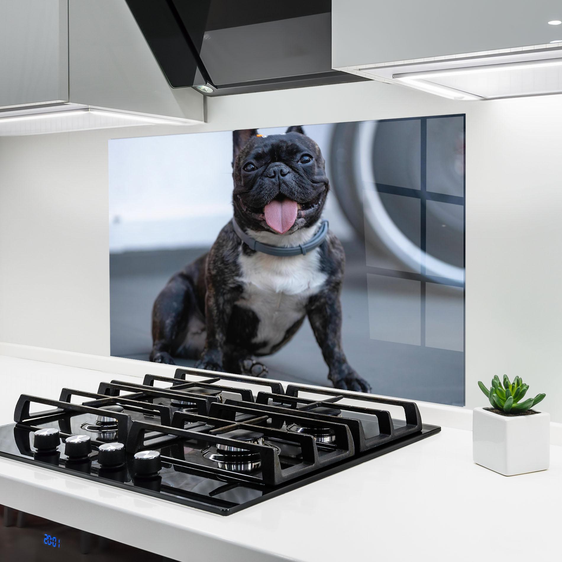 Küchenrückwand Glas Happy Black Dog mockup 6