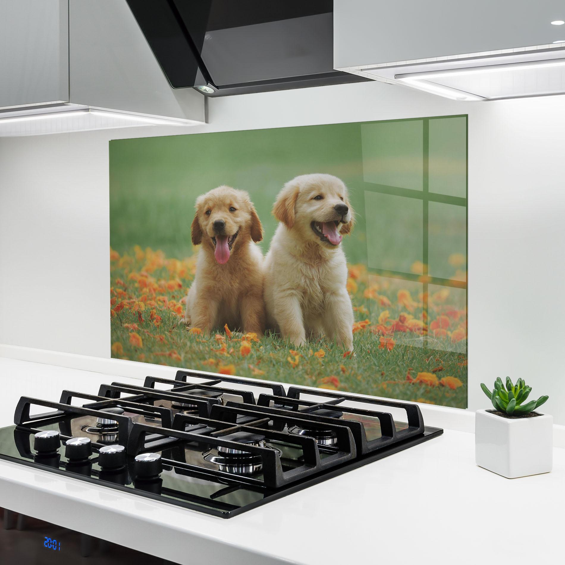 Küchenrückwand Glas Happy Dogs mockup 6