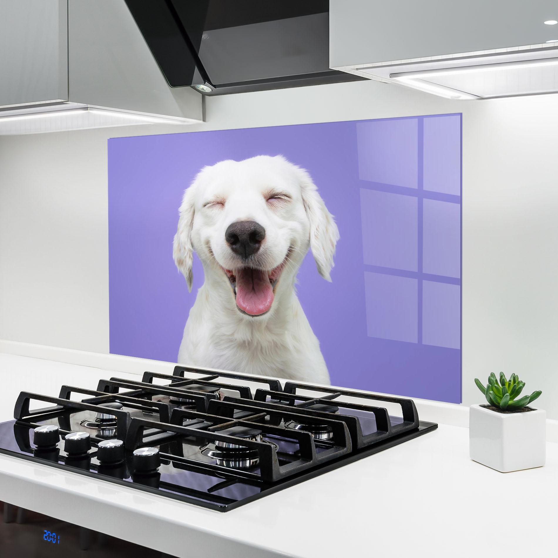 Küchenrückwand Glas Happy Whit Puppy mockup 6