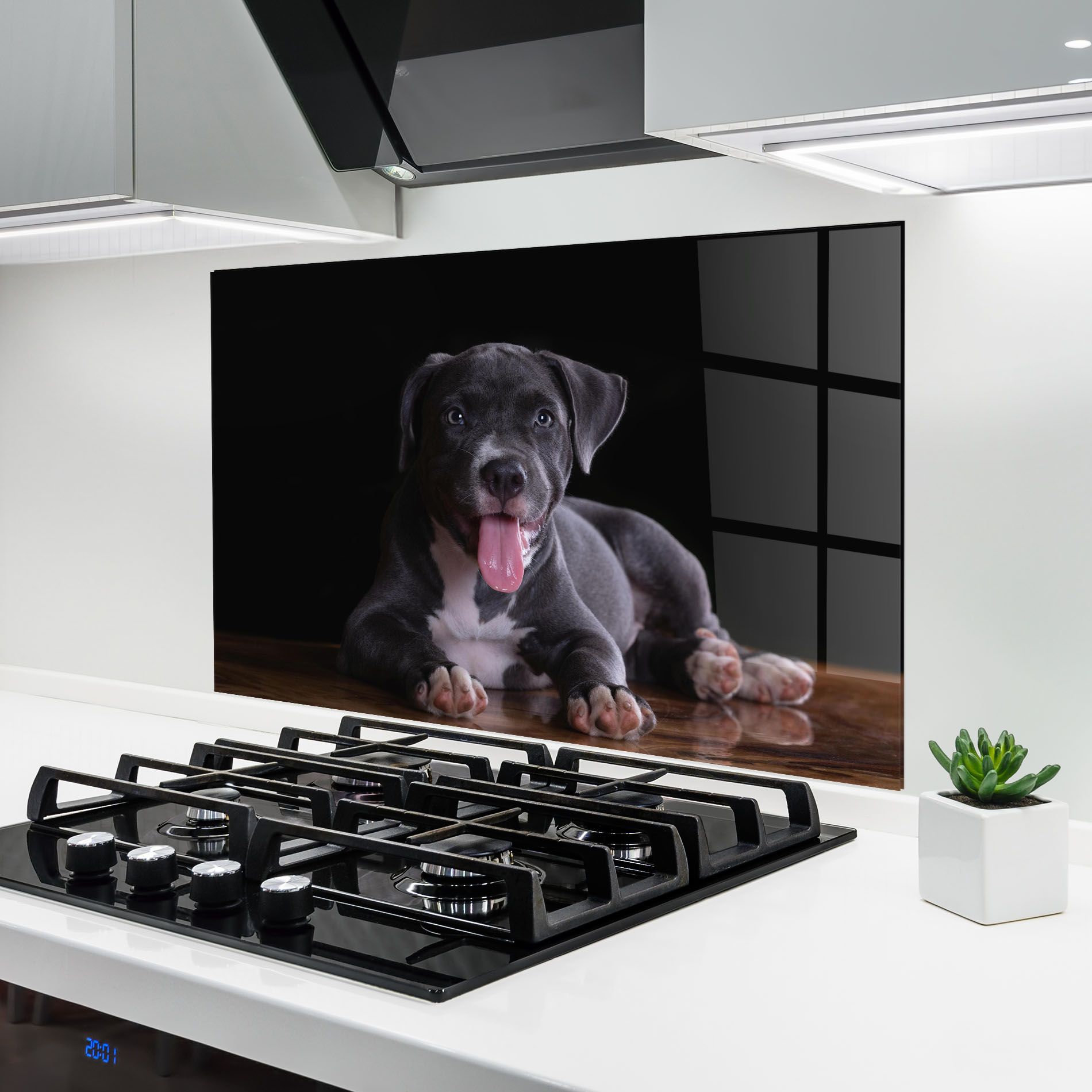 Terrier Puppy mockup 6