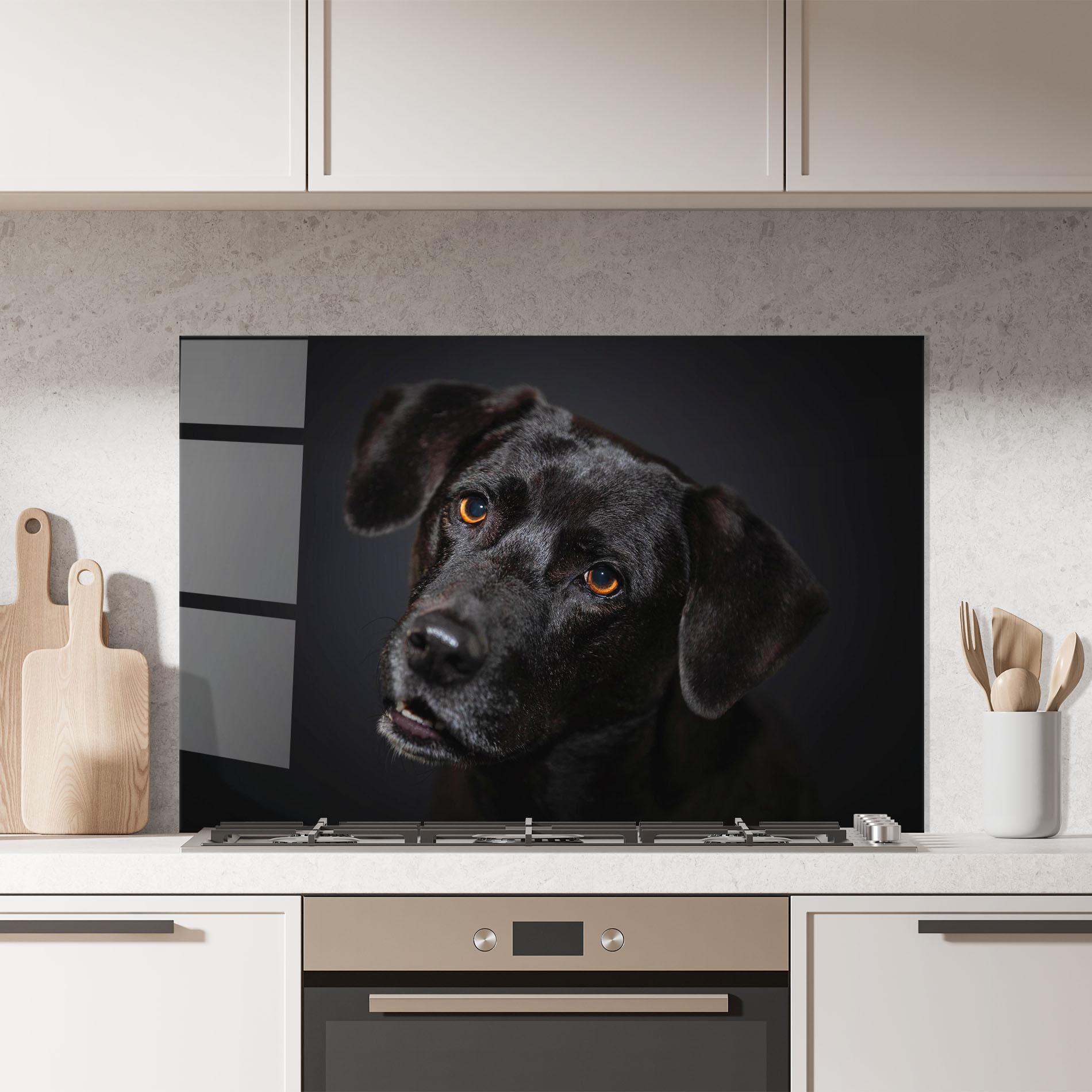 Küchenrückwand Glas Black Dog Portrait mockup 7