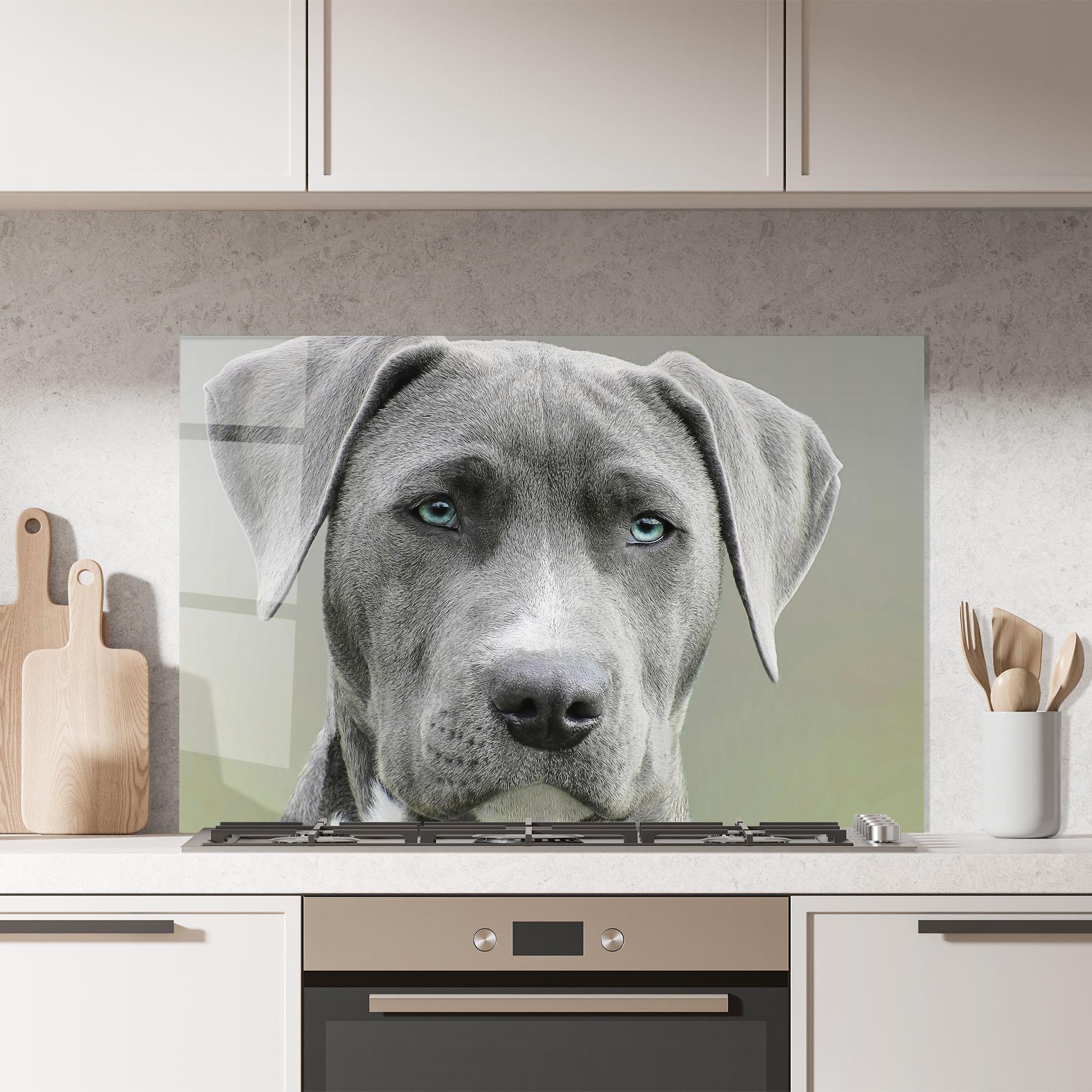 Küchenrückwand Glas Blue Eyes Dog mockup 7