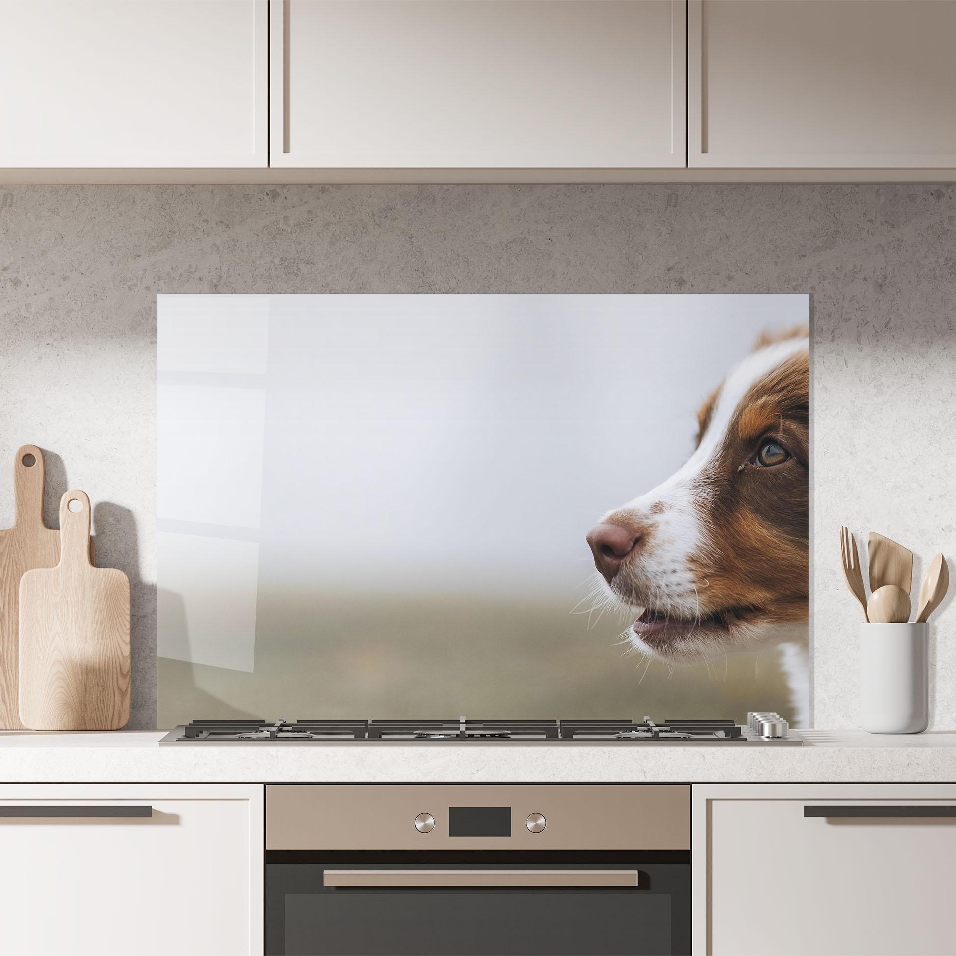 Küchenrückwand Glas Brown White Dog mockup 7