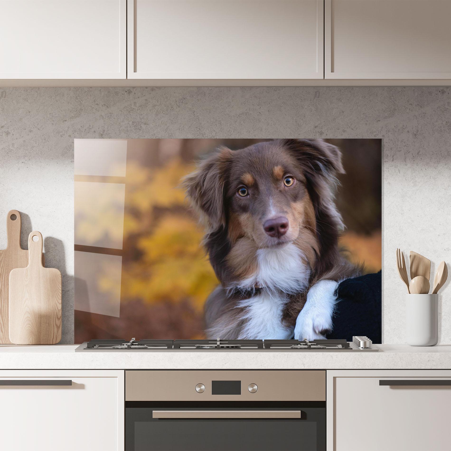 Küchenrückwand Glas Coffee Brown Dog mockup 7