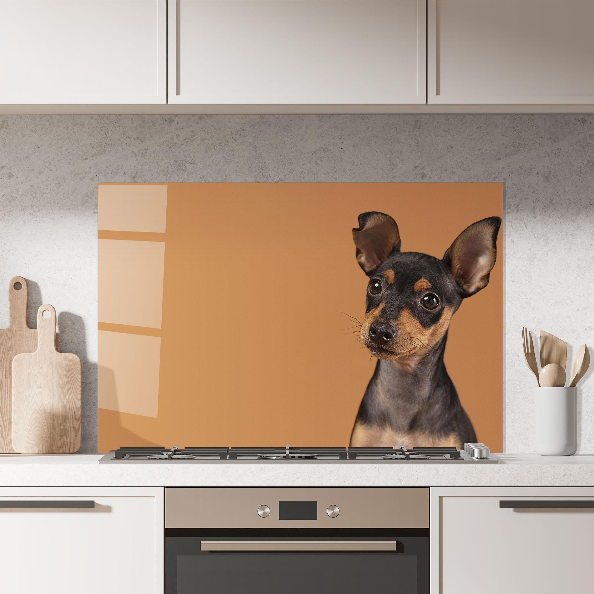 Küchenrückwand Glas Cute Dog Portrait mockup 7
