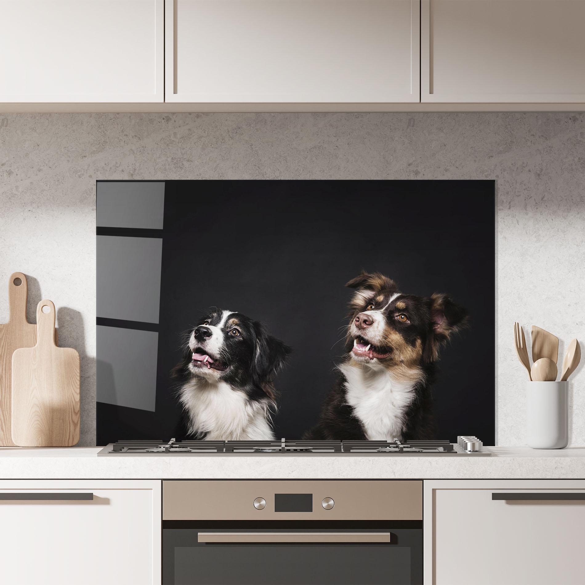 Küchenrückwand Glas Cute Dogs Standing mockup 7