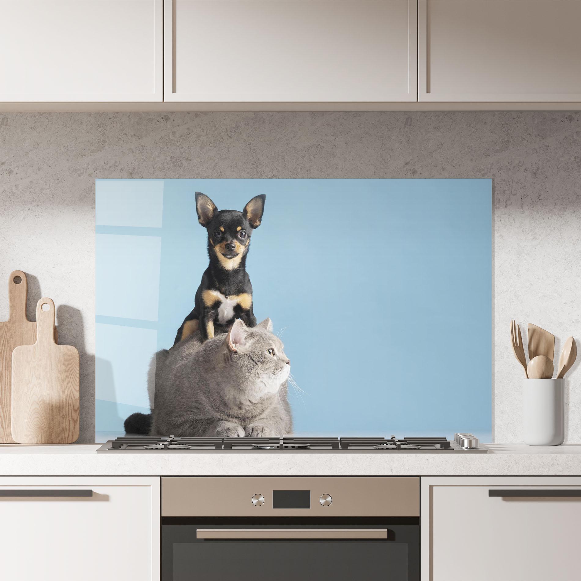 Küchenrückwand Glas Dog Grey Cat mockup 7