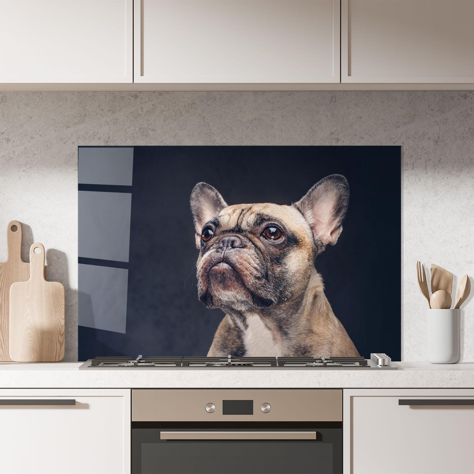 Küchenrückwand Glas Dog Looking Up mockup 7