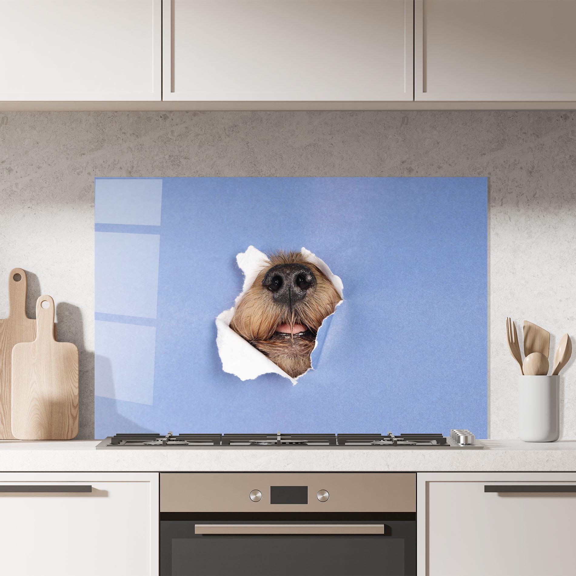Küchenrückwand Glas Dog Small Nose mockup 7