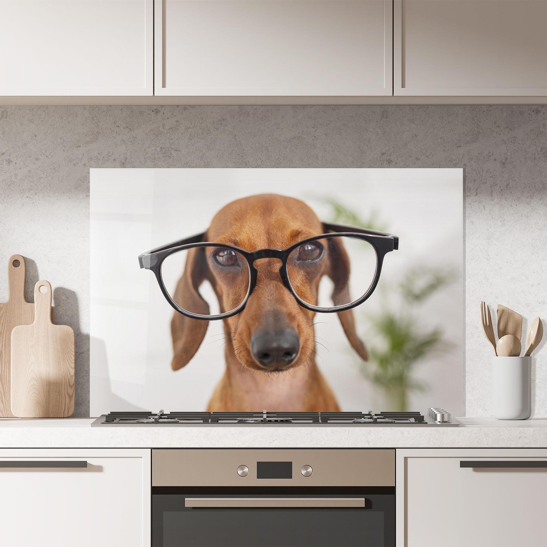 Küchenrückwand Glas Dog Wearing Glasses mockup 7