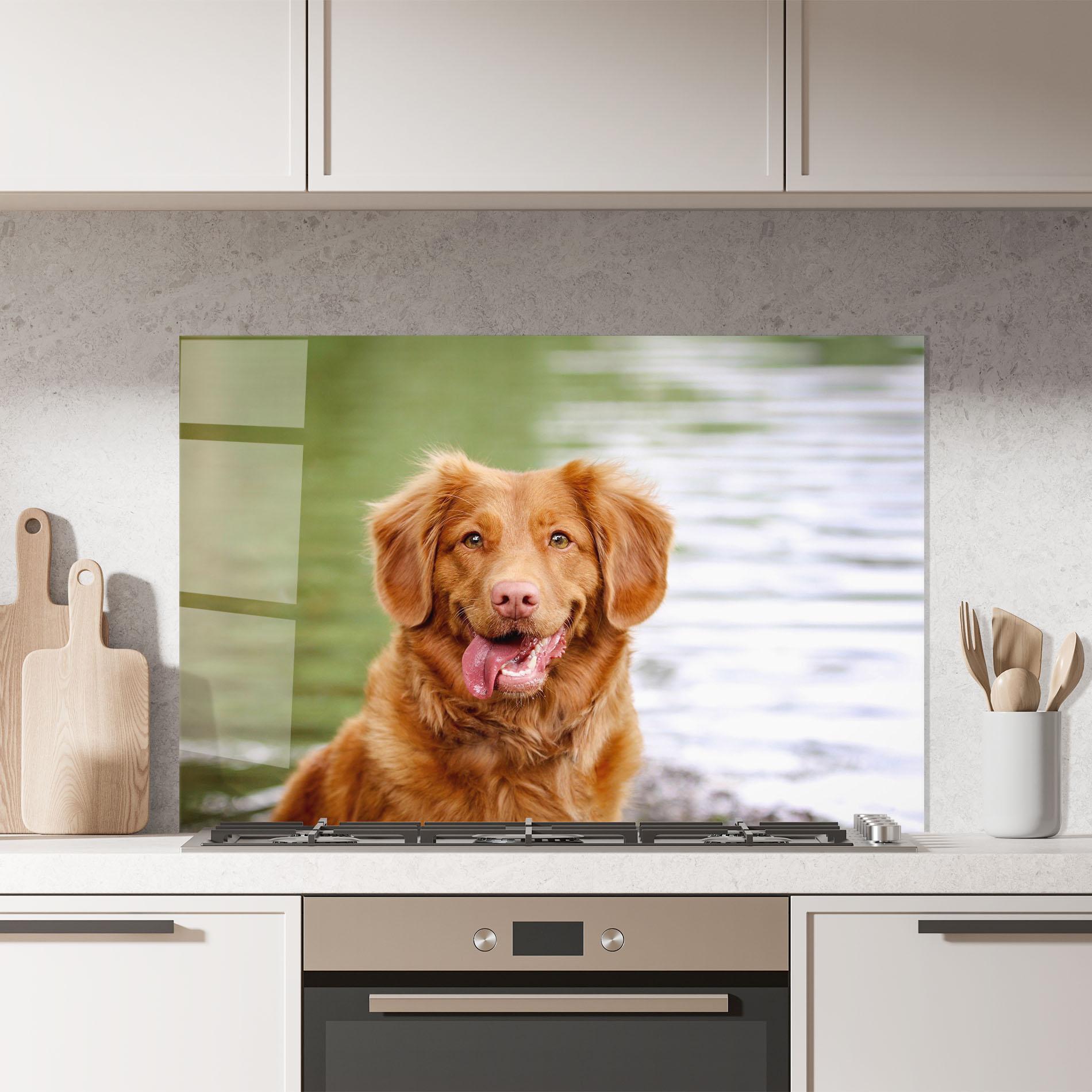 Küchenrückwand Glas Gren Water Dog mockup 7