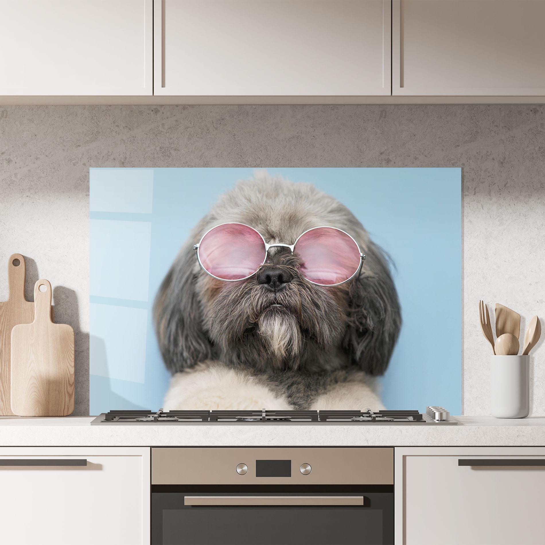 Küchenrückwand Glas Grey Dog On Blue mockup 7