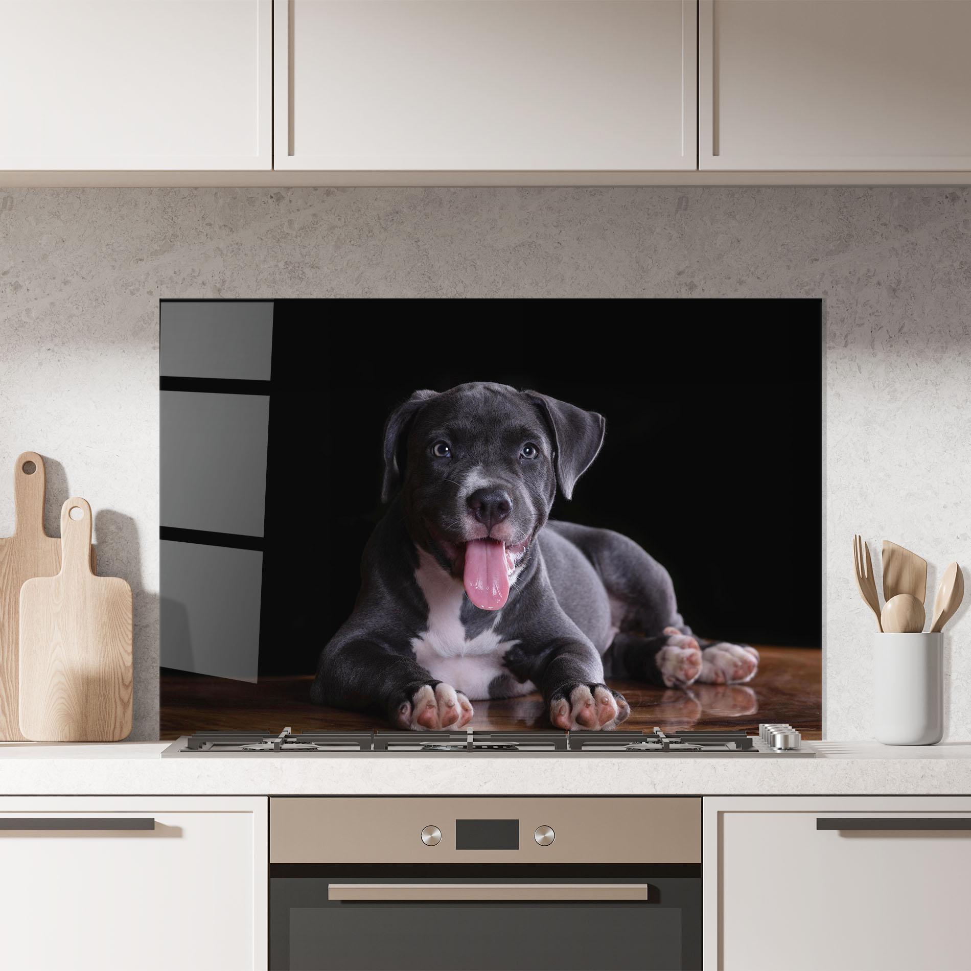 Küchenrückwand Glas Terrier Puppy mockup 7