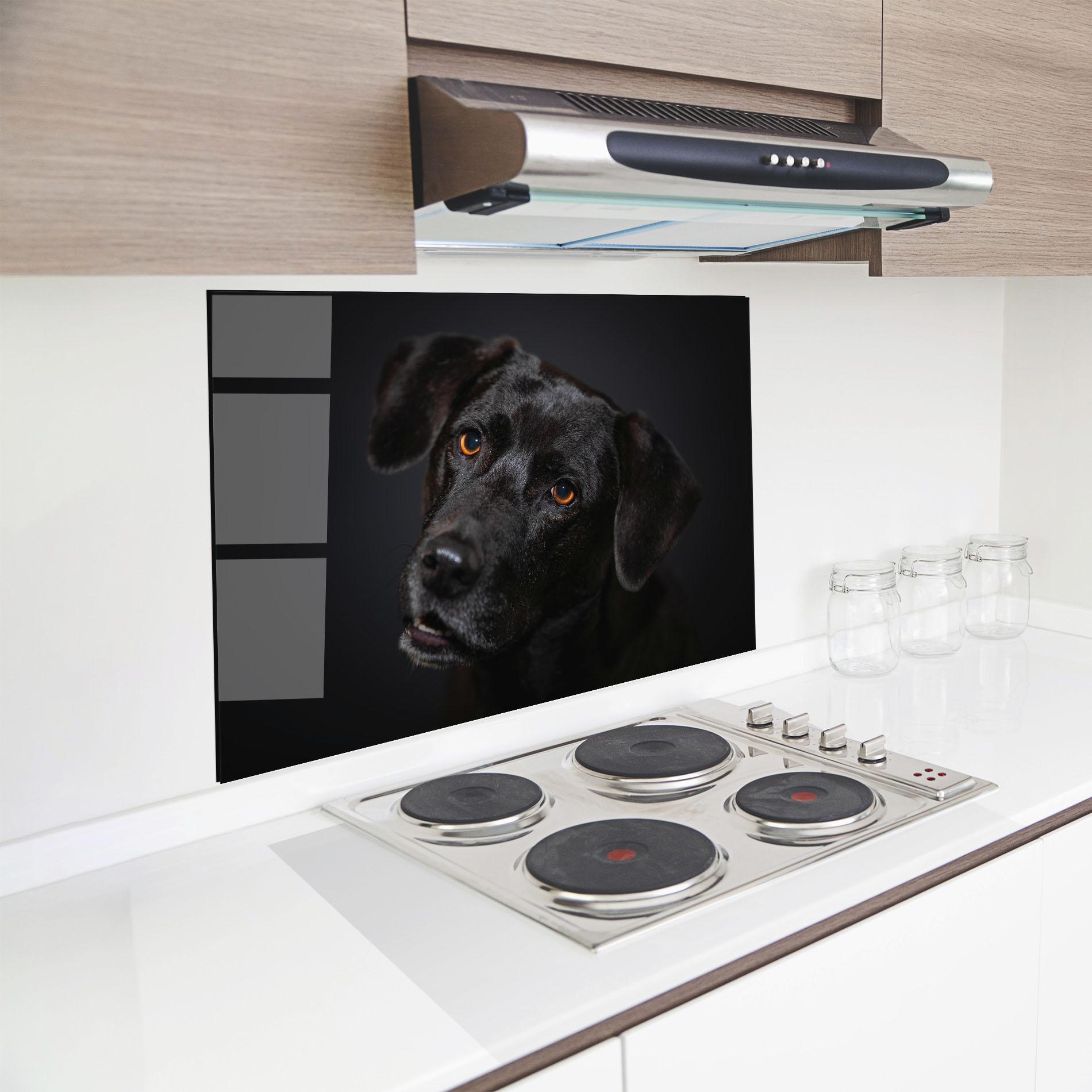 Küchenrückwand Glas Black Dog Portrait mockup 8