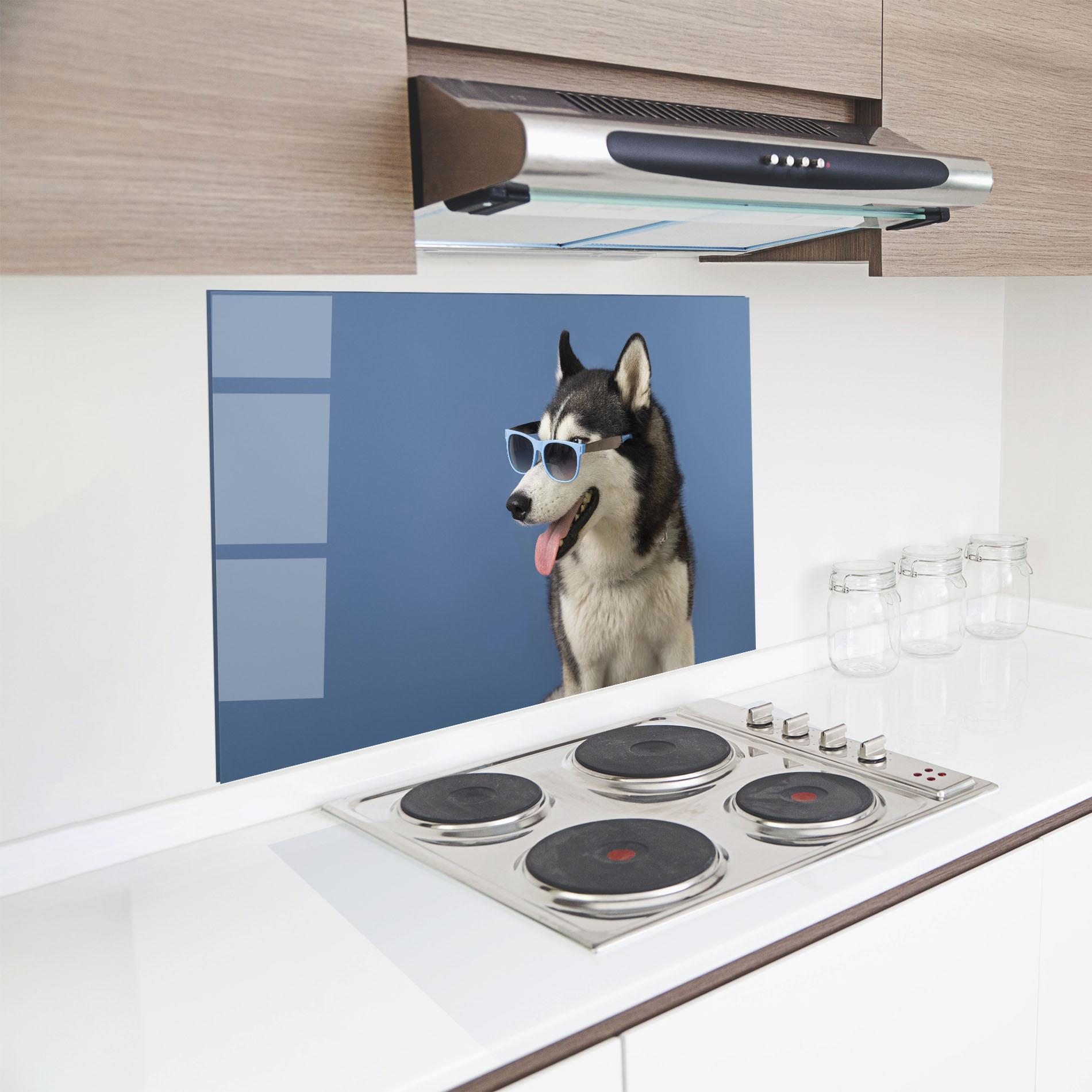 Küchenrückwand Glas Blue Glasses Dog mockup 8
